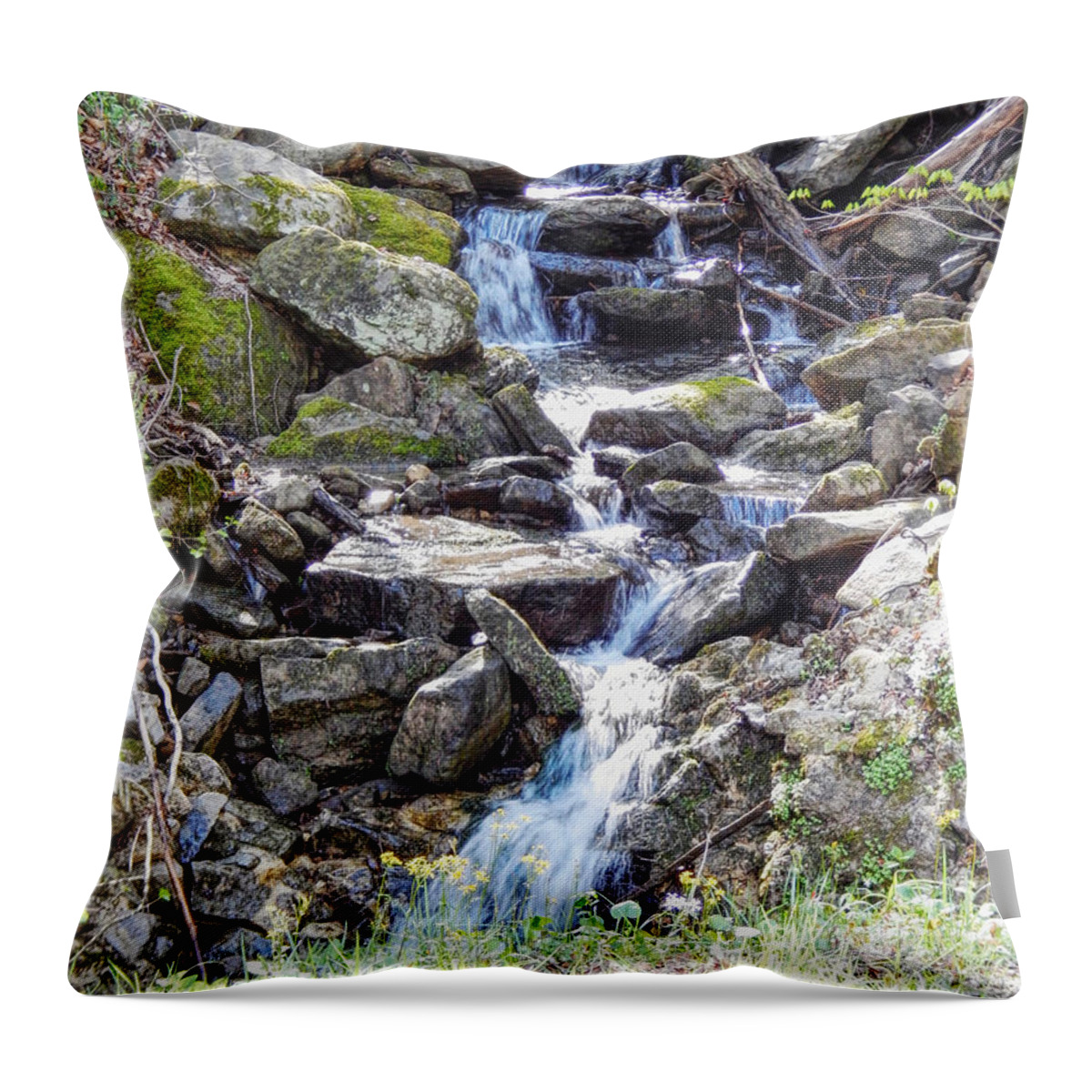 Photograph Throw Pillow featuring the photograph Roadside Waterfall by Phil Perkins