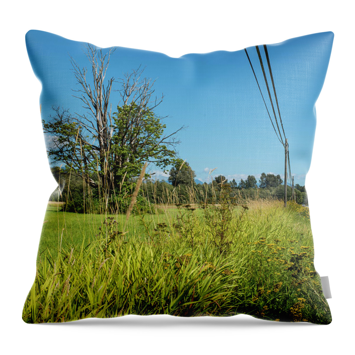 Roadside Wildflowers Throw Pillow featuring the photograph Roadside Wildflowers by Tom Cochran