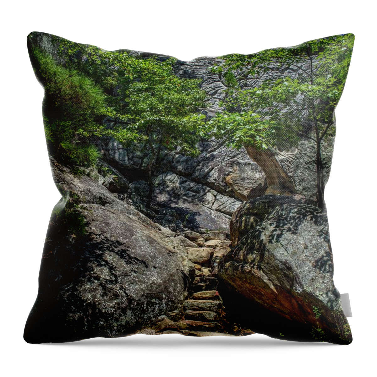 Steps Throw Pillow featuring the photograph Robbers Cave Steps by Buck Buchanan
