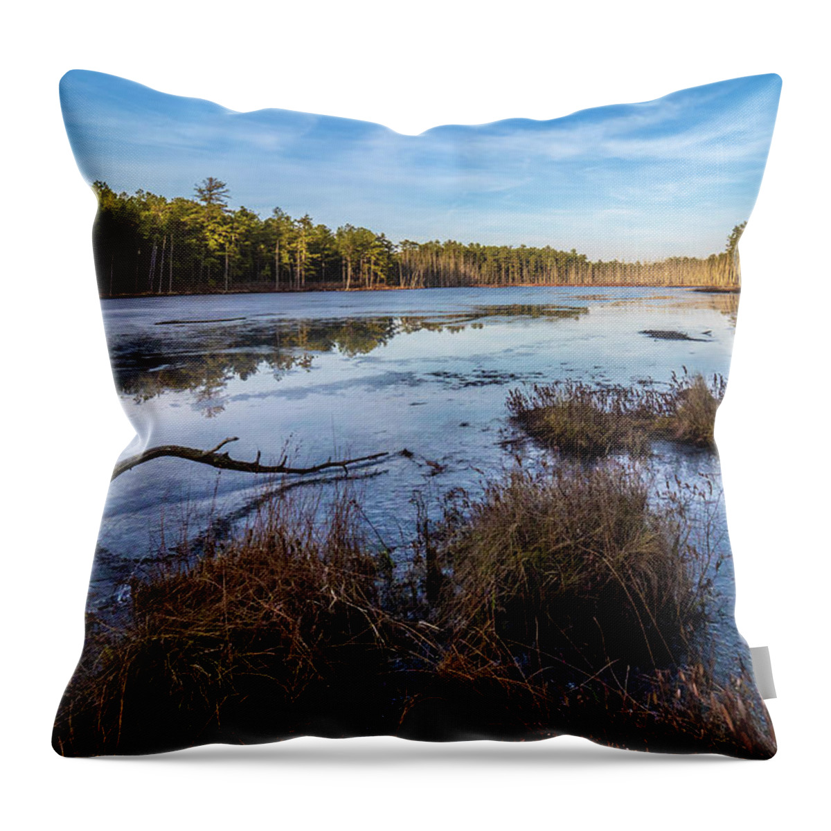 Fall Throw Pillow featuring the photograph Roberts branch Pine lands by Louis Dallara