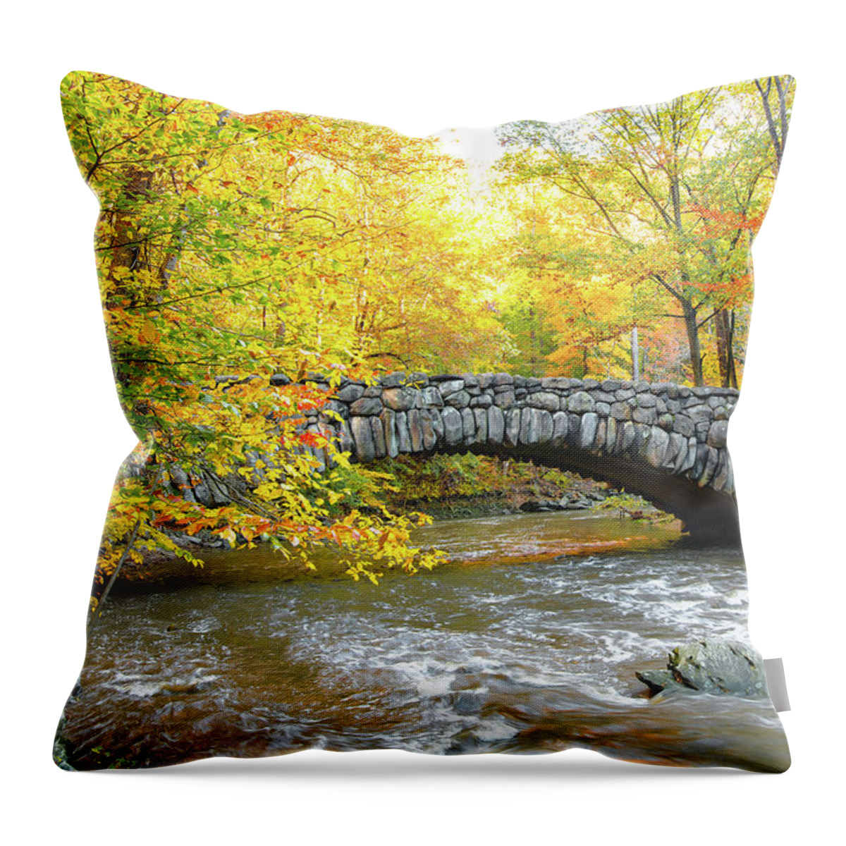 03nov18 Throw Pillow featuring the photograph Rock Creek Boulder Bridge with Fall Colors by Jeff at JSJ Photography