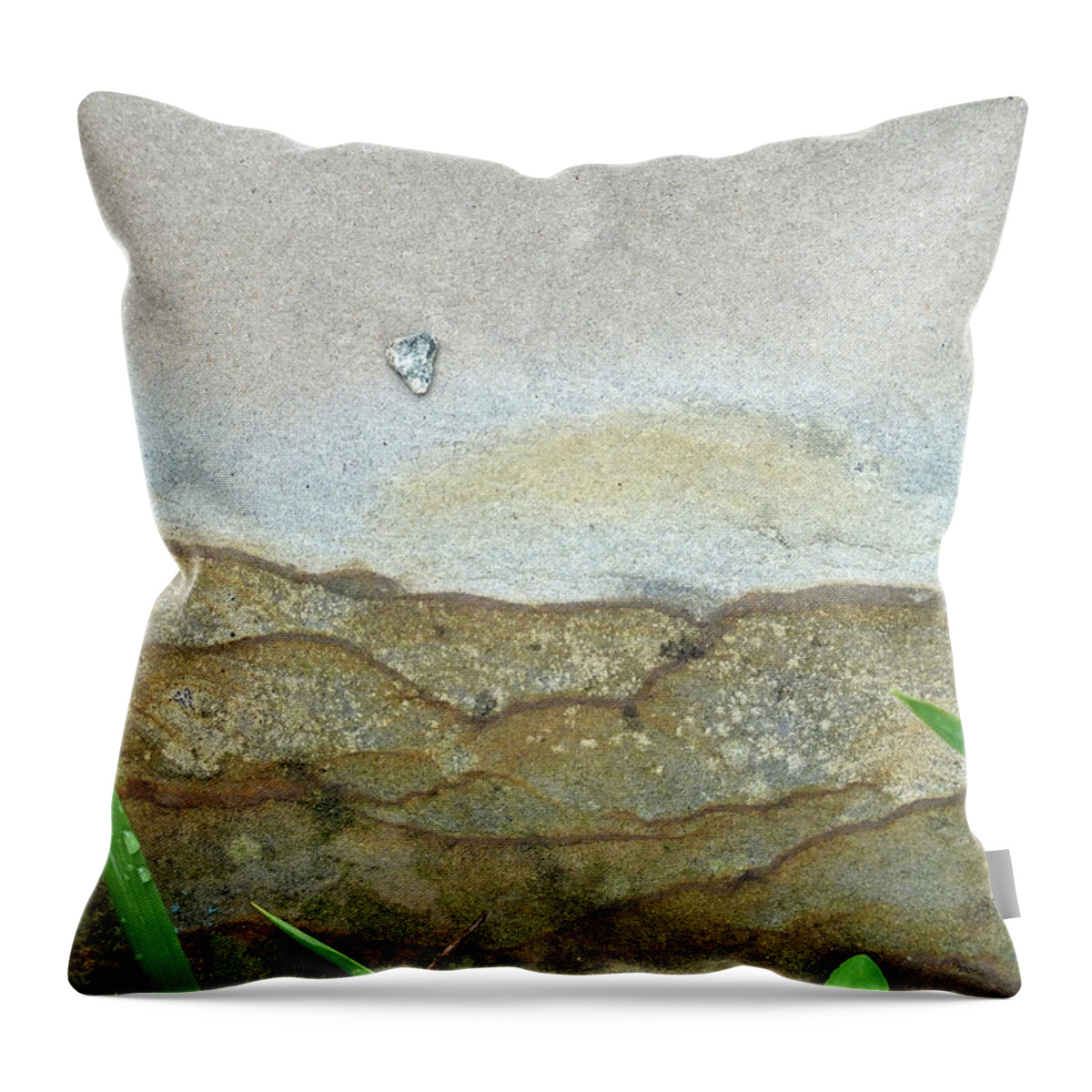Duane Mccullough Throw Pillow featuring the photograph Rock Stain Abstract 5 by Duane McCullough