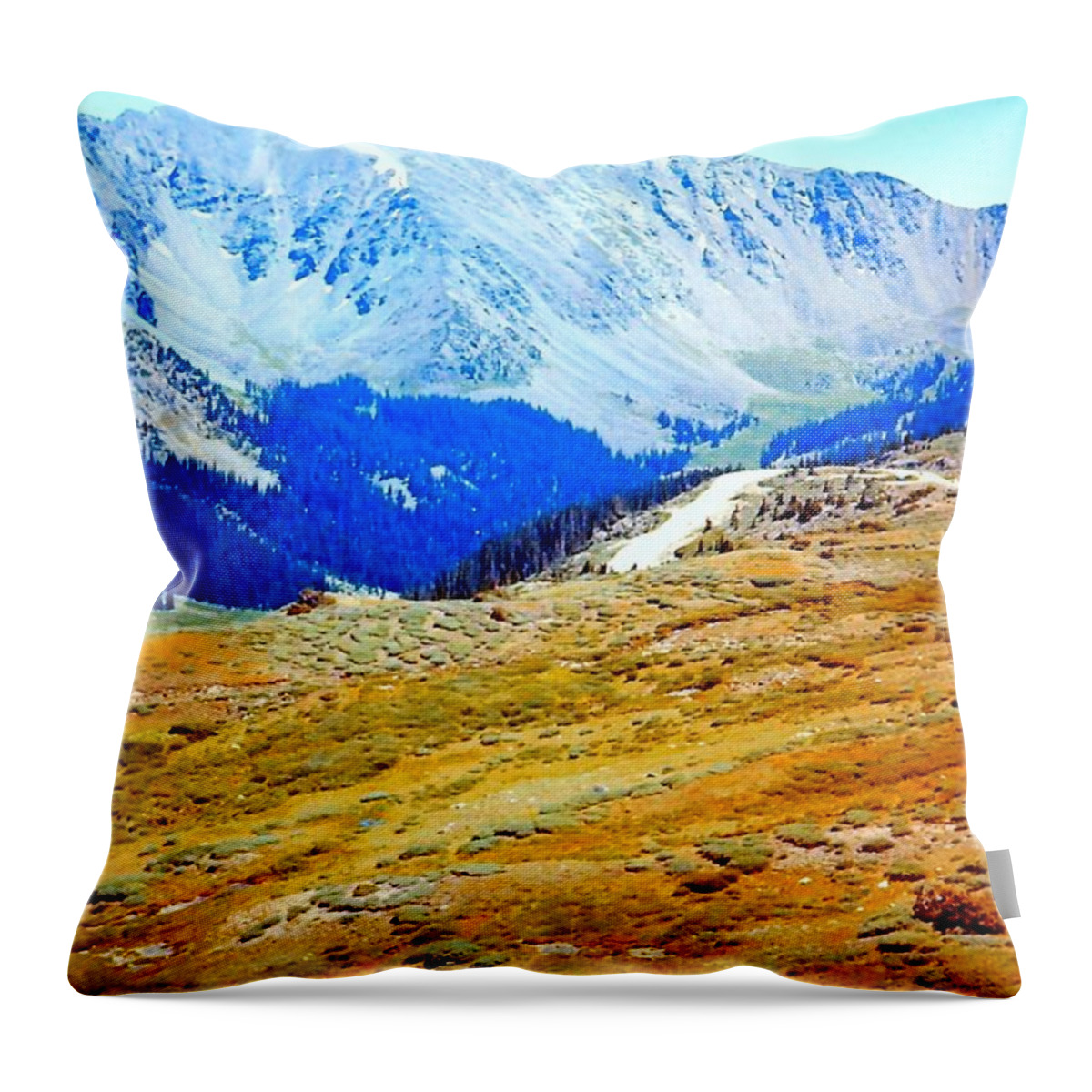 Mountain Throw Pillow featuring the photograph Rocky Mountain National Park Tundra by Gary F Richards