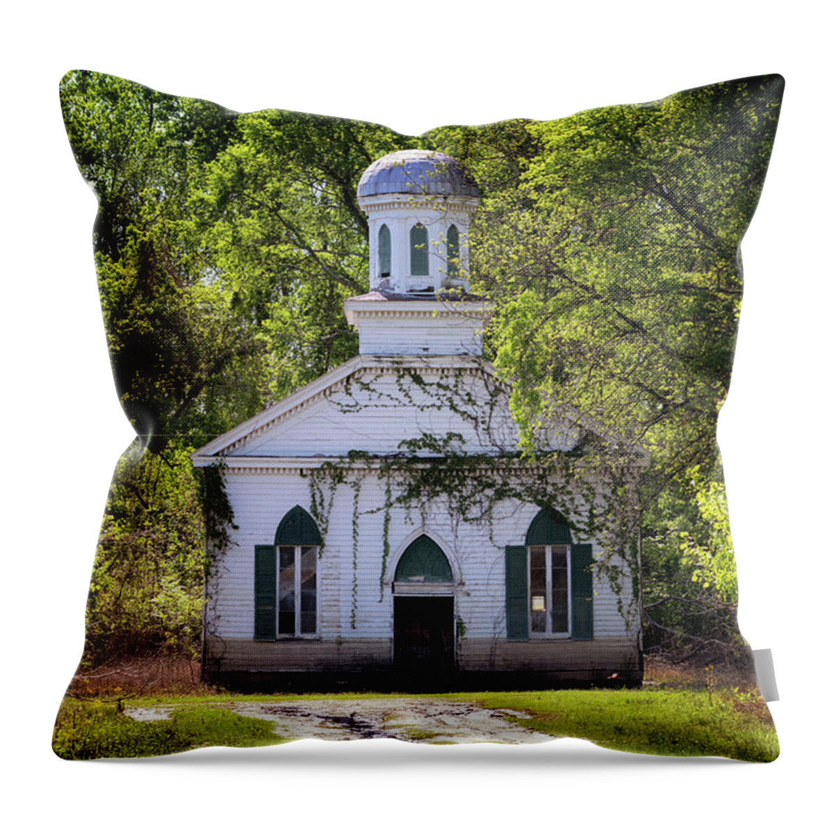 Church Throw Pillow featuring the photograph Rodney Baptist Church by Susan Rissi Tregoning