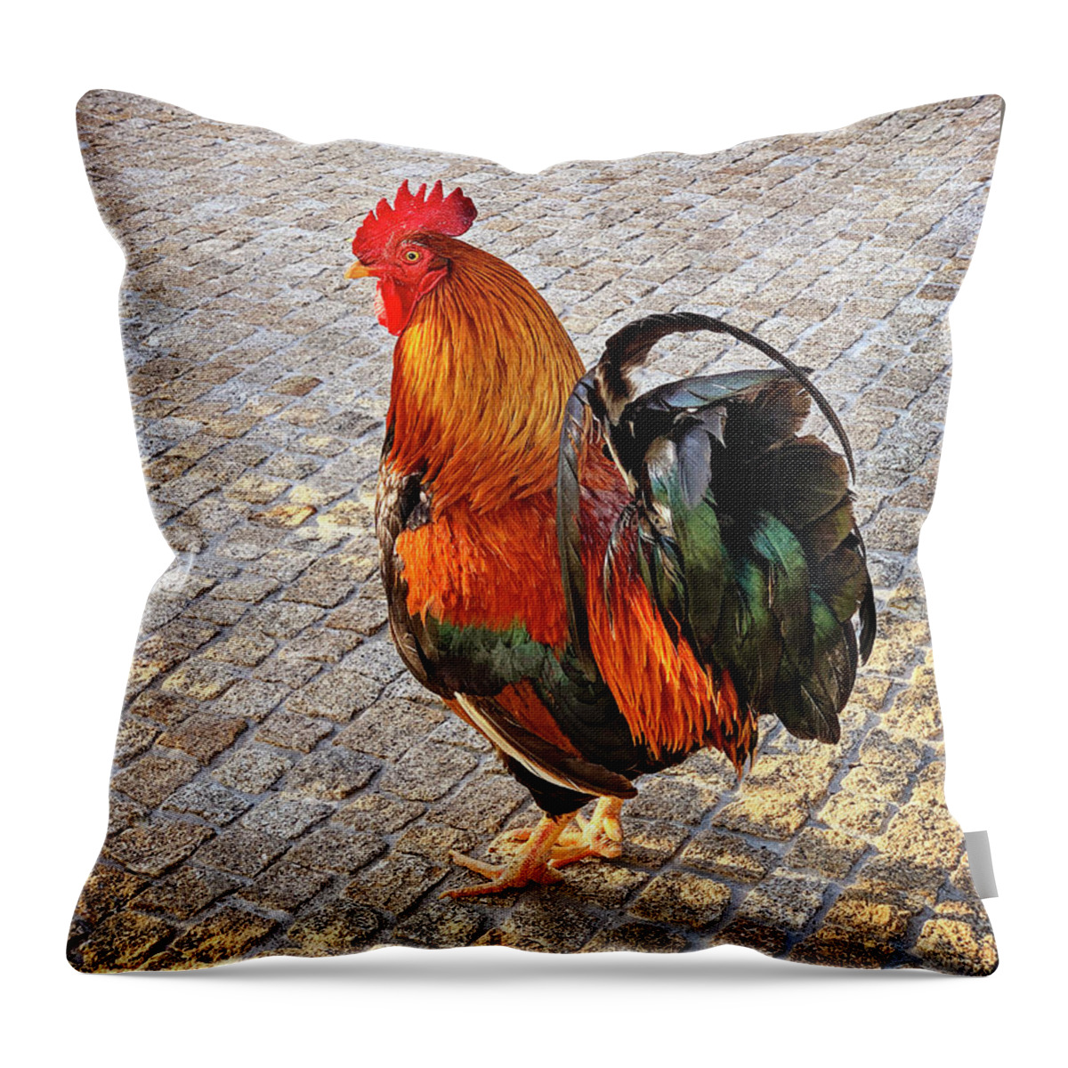 Rooster Throw Pillow featuring the photograph Rooster Strut by Jill Love