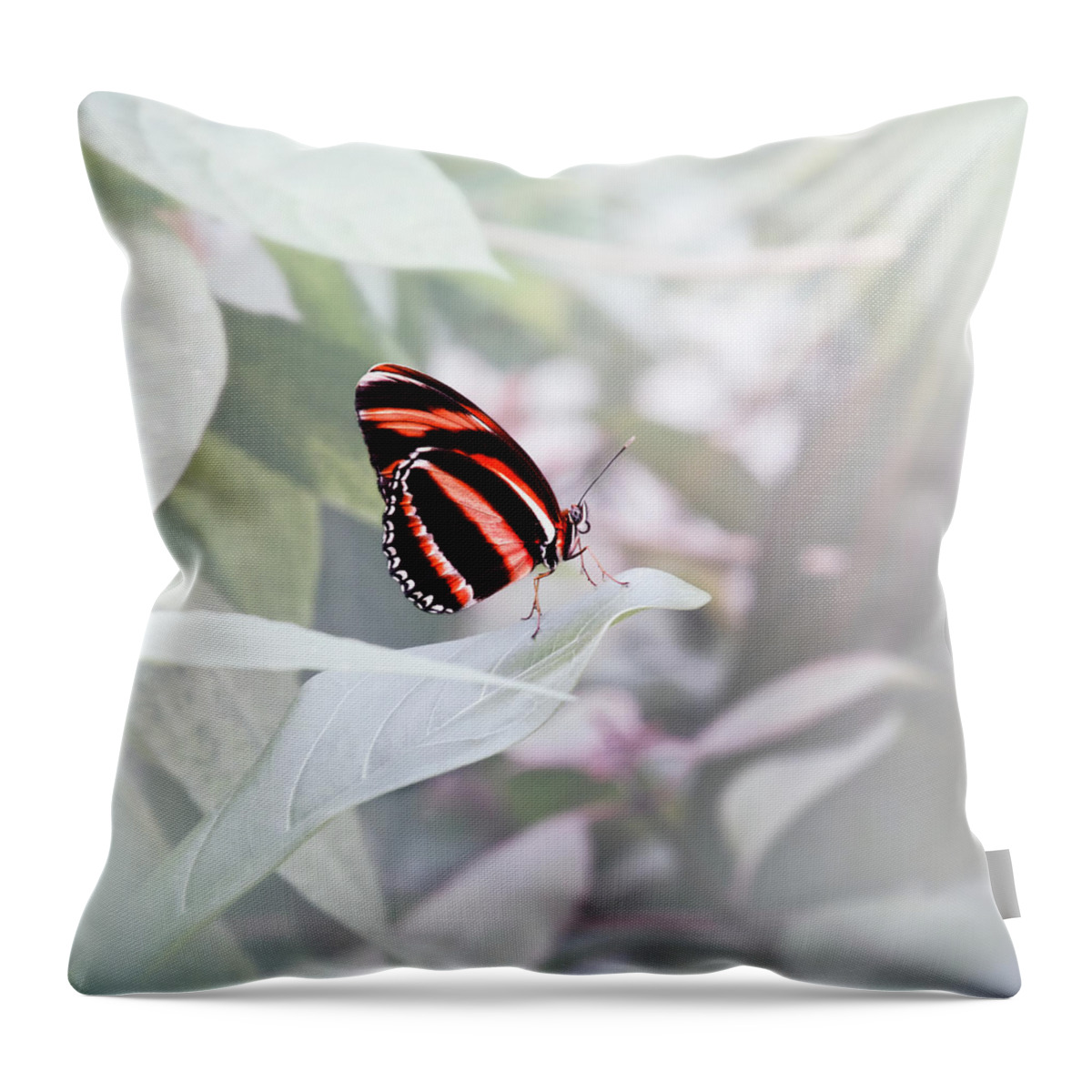 Butterfly Throw Pillow featuring the photograph Banded Orange Heliconian - Dryadula phaetusa by Jaroslav Buna