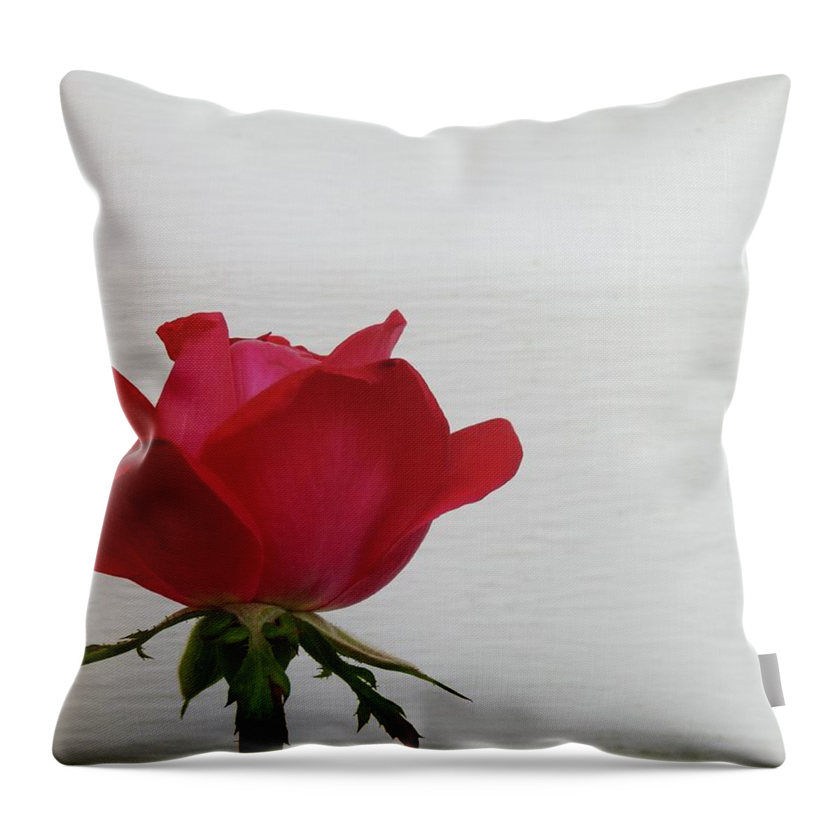 Rose Throw Pillow featuring the photograph Rose Haven by Kathy Ozzard Chism