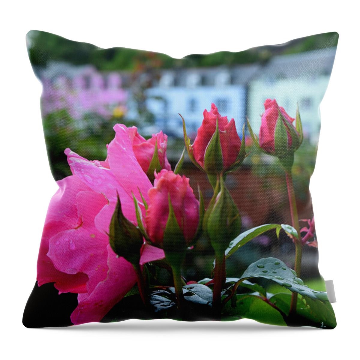 Rose Throw Pillow featuring the photograph Roses in Portree by Bonny Puckett