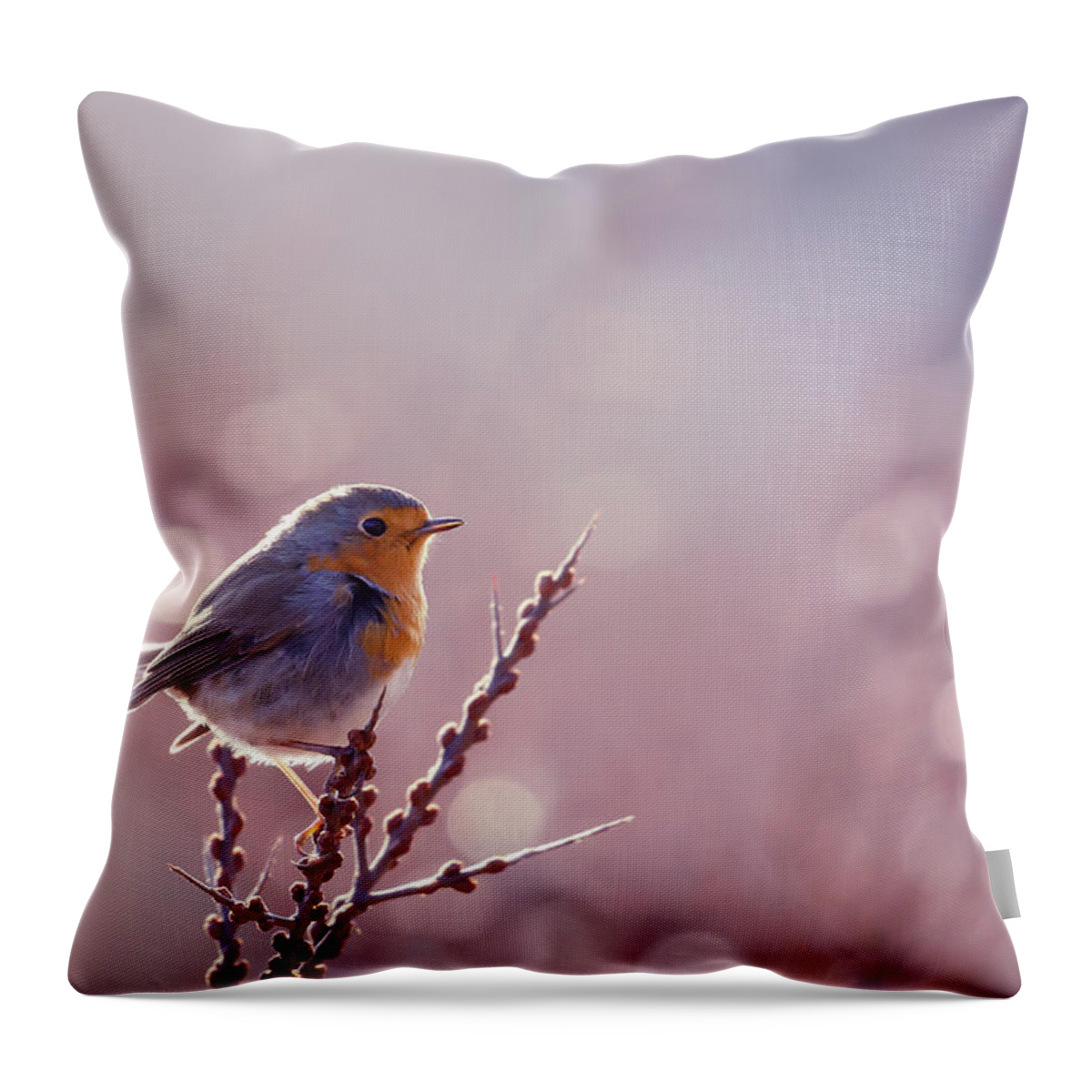 European Robin Throw Pillow featuring the photograph Rouge-Gorge or European Robin in Winter modus by Roeselien Raimond