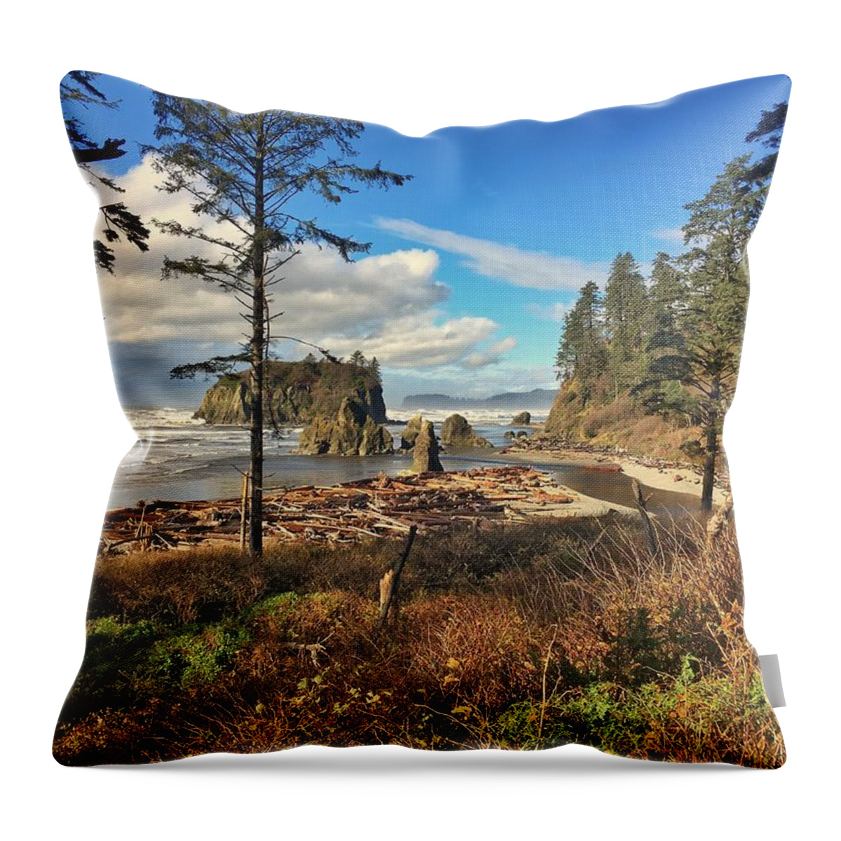 Seascape Throw Pillow featuring the photograph Ruby Beach by Jerry Abbott