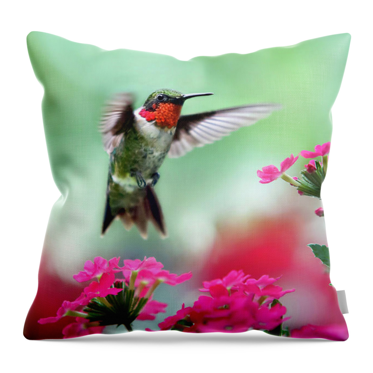 Hummingbird Throw Pillow featuring the photograph Ruby Garden Jewel by Christina Rollo