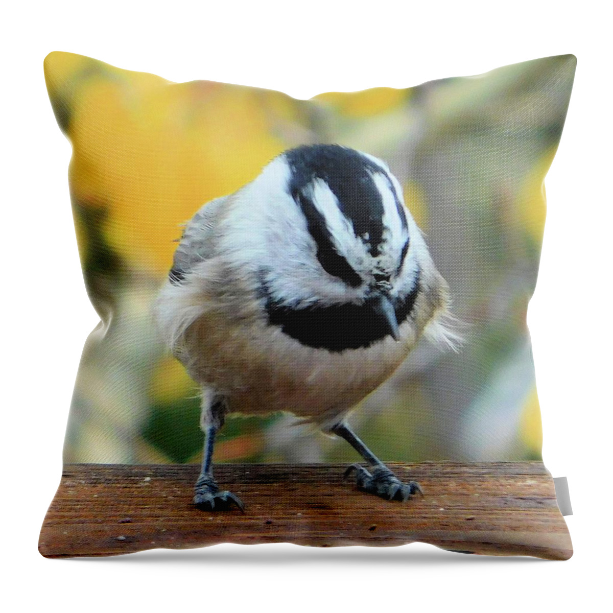 Birds Throw Pillow featuring the photograph Ruffled Feathers by Karen Stansberry