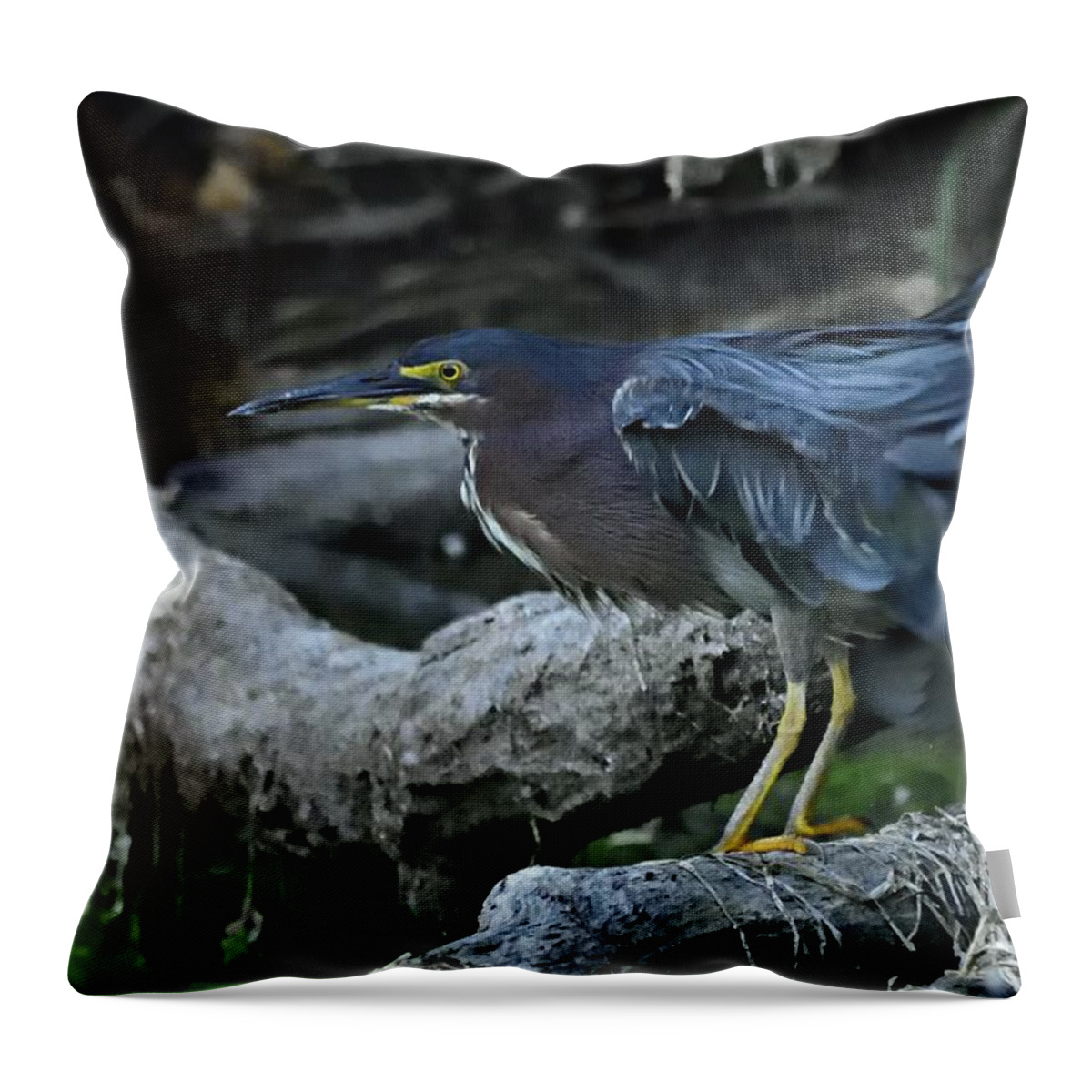 Photography Throw Pillow featuring the photograph Ruffled Green Heron by Larry Ricker