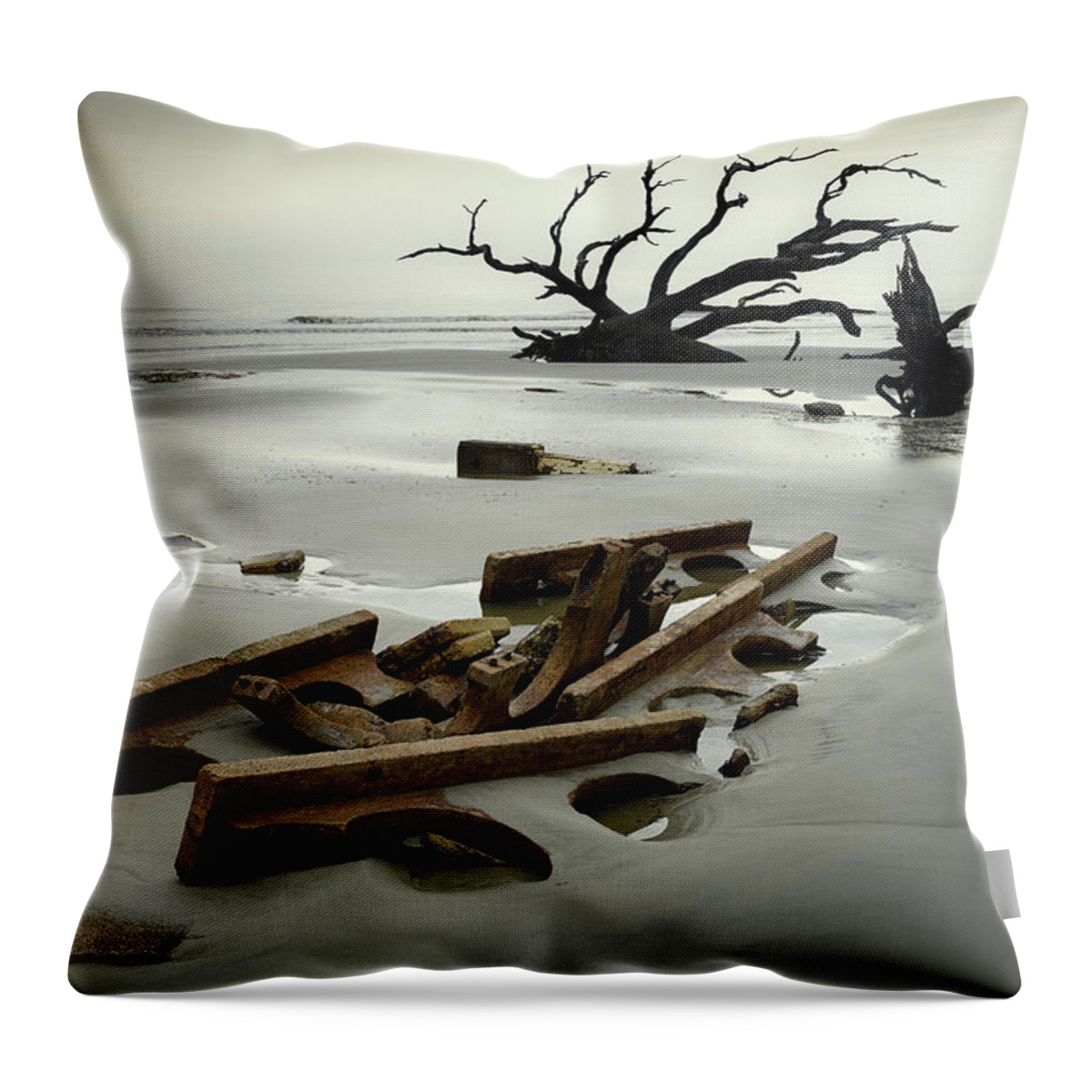 Driftwood Beach Throw Pillow featuring the photograph Ruins on Driftwood Beach by James Covello