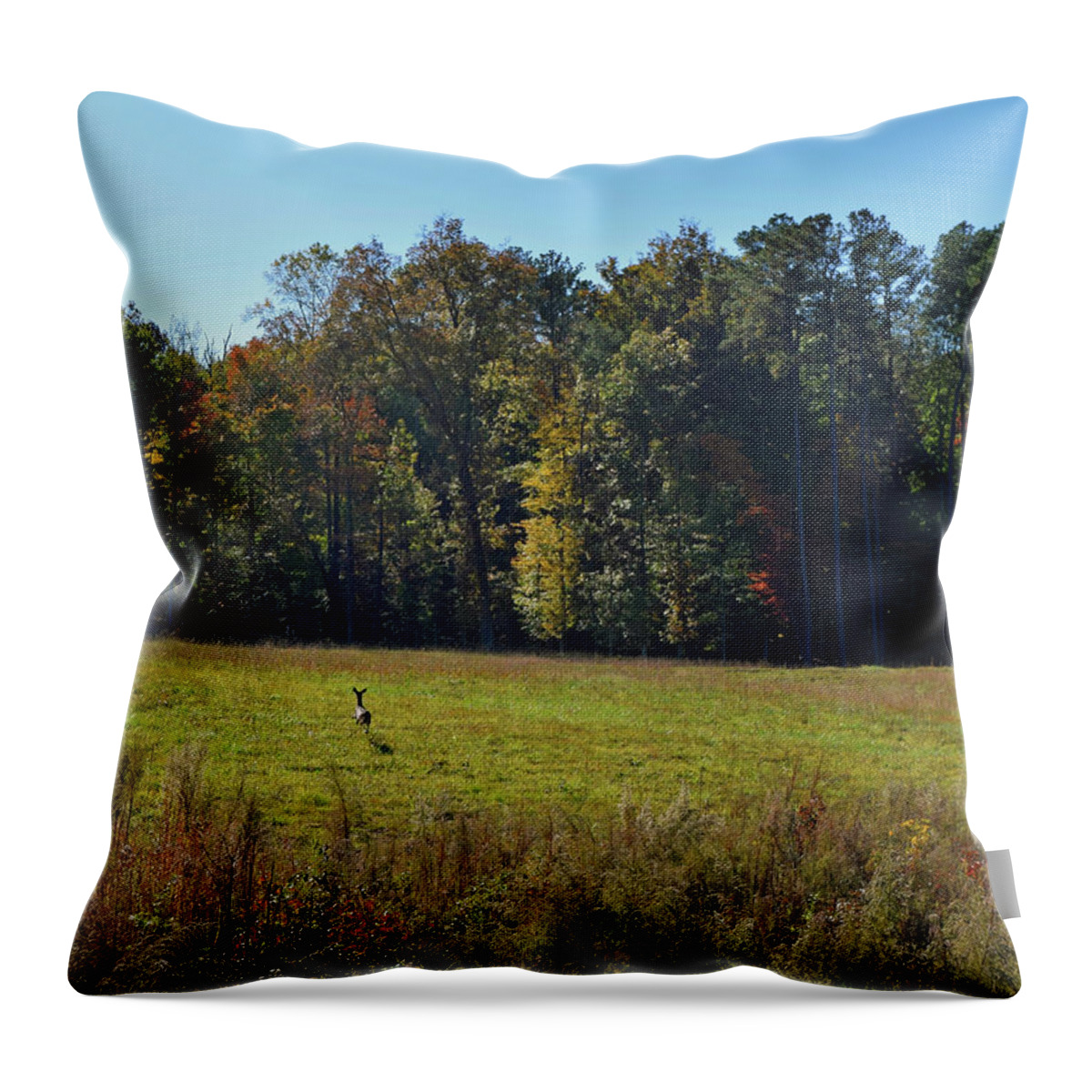 Deer Throw Pillow featuring the photograph Running Free by Karen Harrison Brown