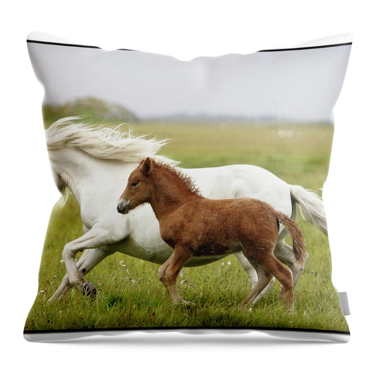 Horse Throw Pillow featuring the photograph Running Horses by Gigja Einarsdottir
