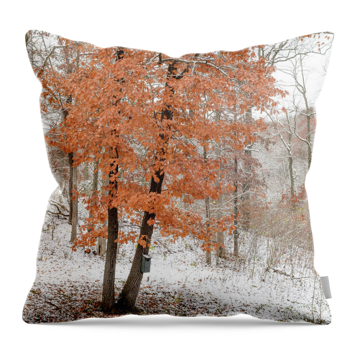 Trees Throw Pillow featuring the photograph Rust Leaves and Snow by Tamara Becker