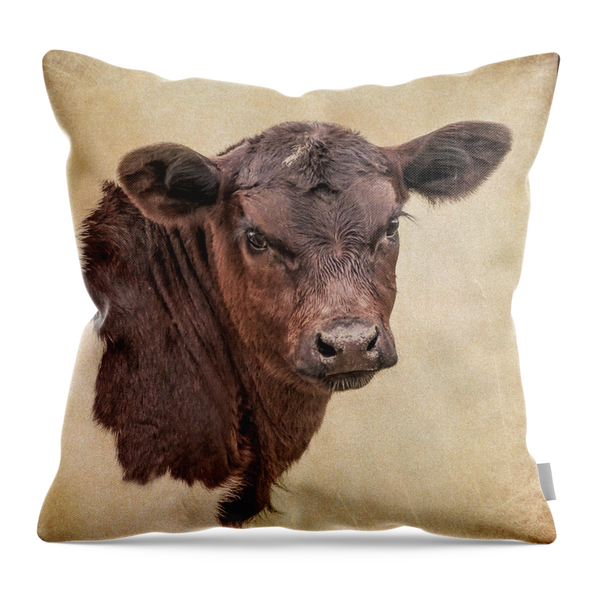 Calf Throw Pillow featuring the photograph Rustic Texas Longhorn Calf Portrait by Jennie Marie Schell