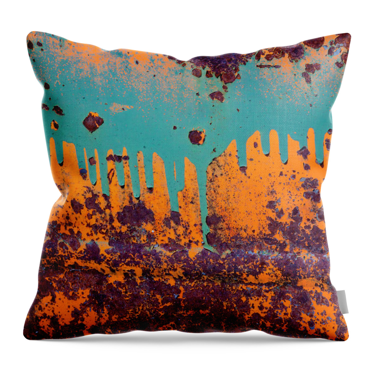 Vehicle Part Throw Pillow featuring the photograph Rusty Car Door, Shaniko, Oregon, Usa by Mint Images/ Art Wolfe