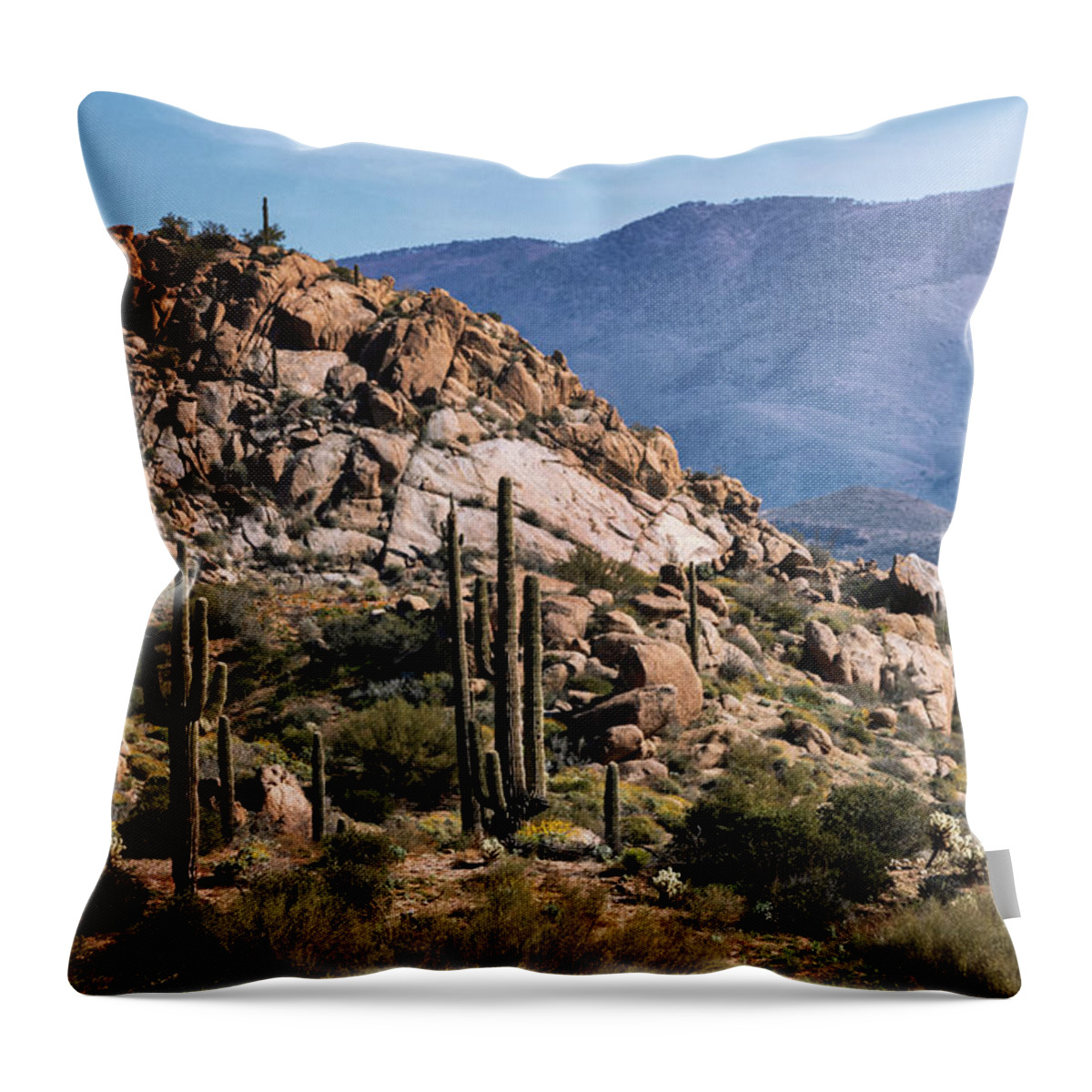 Saguaro Sunrise Throw Pillow featuring the photograph Saguaros On The Hill At Sunrise by Saija Lehtonen