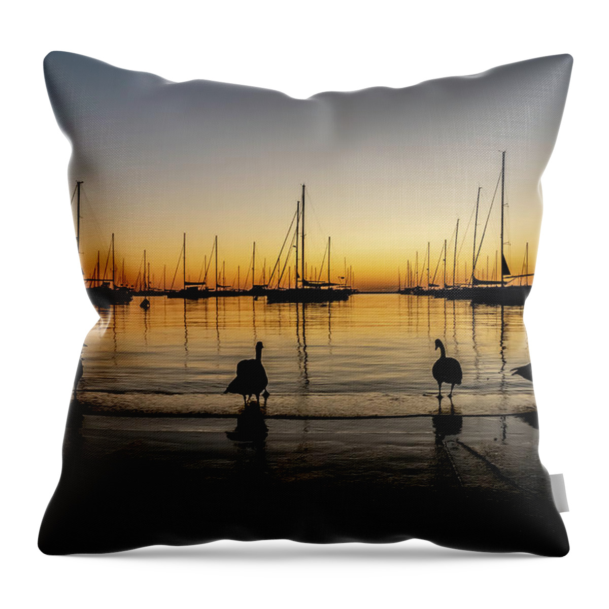 Geese Throw Pillow featuring the photograph Sailboats and Geese in a Chicago Harbor one beautiful morning by Sven Brogren