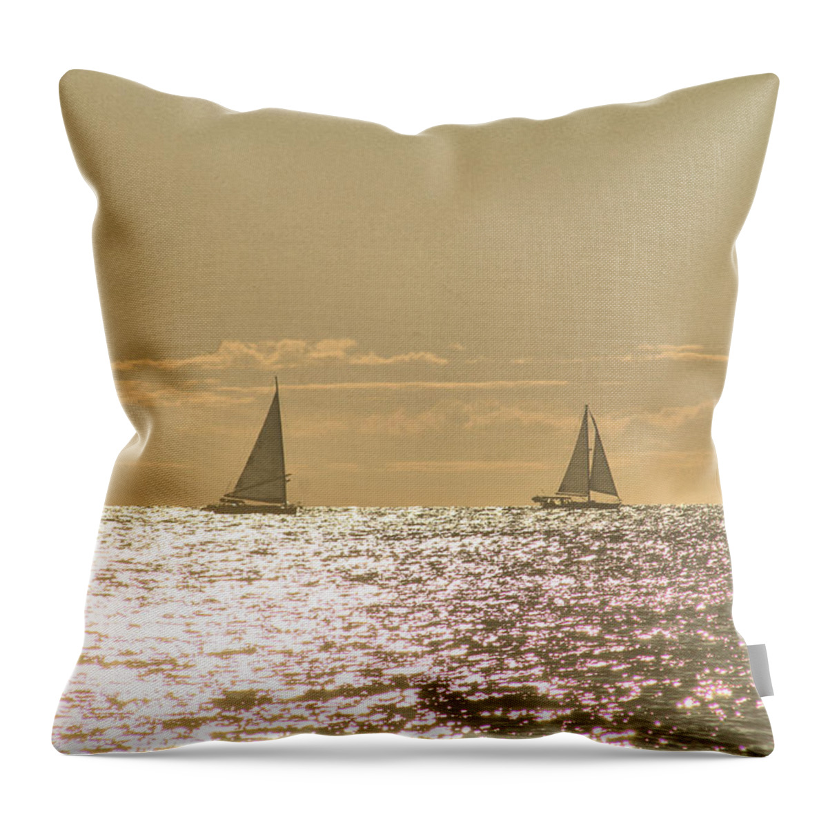 Water Throw Pillow featuring the photograph Sailing On The Horizon by Robert Banach