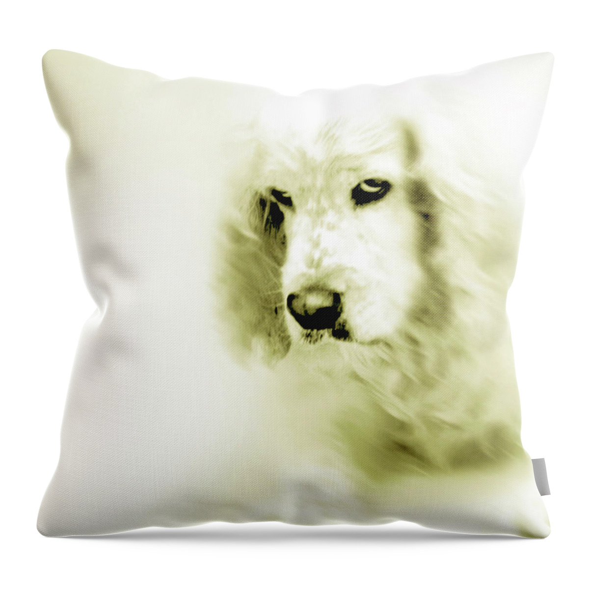 Art Throw Pillow featuring the digital art Saint Shaggy Art 8 by Miss Pet Sitter