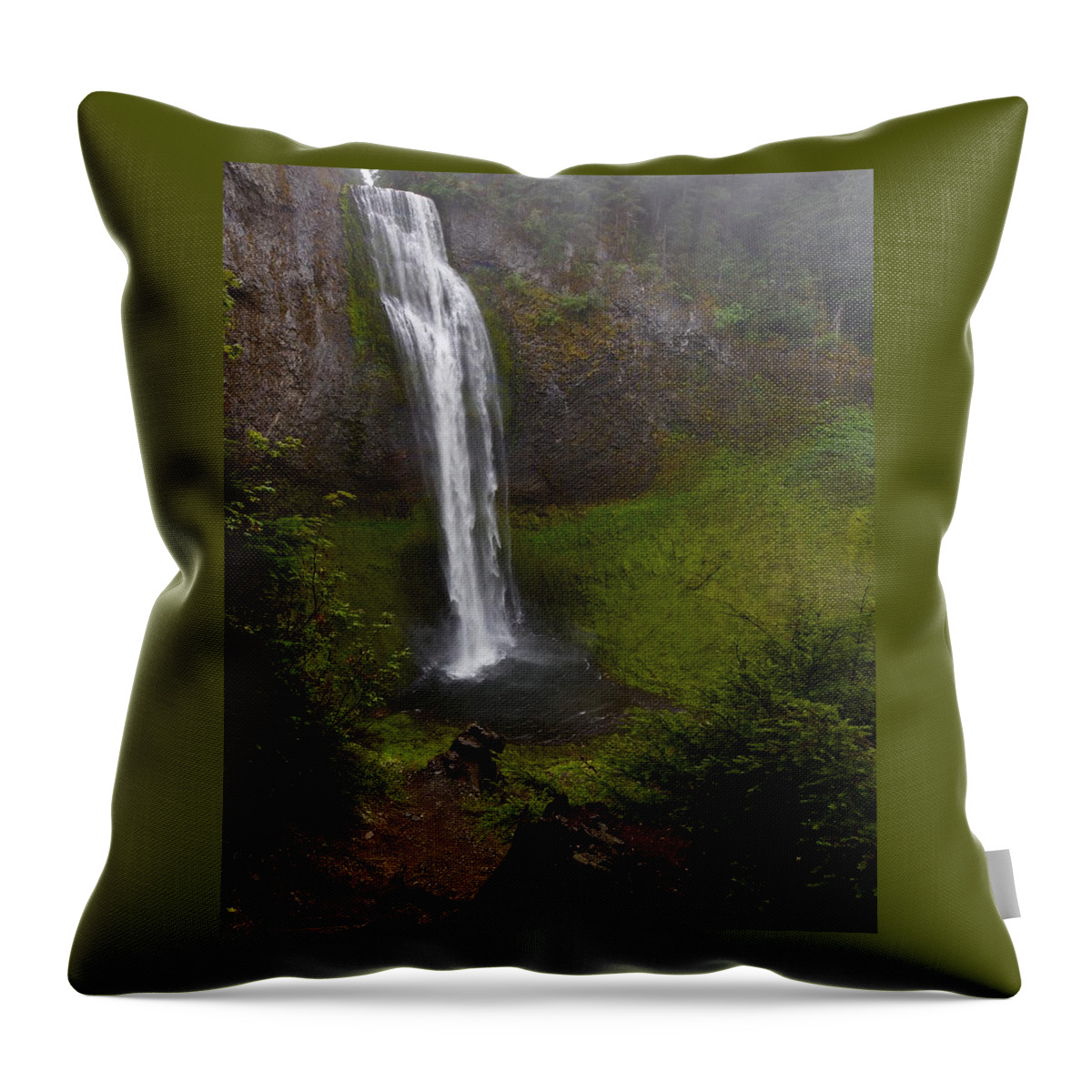 Waterfall Throw Pillow featuring the photograph Salt Creek Falls by Todd Kreuter