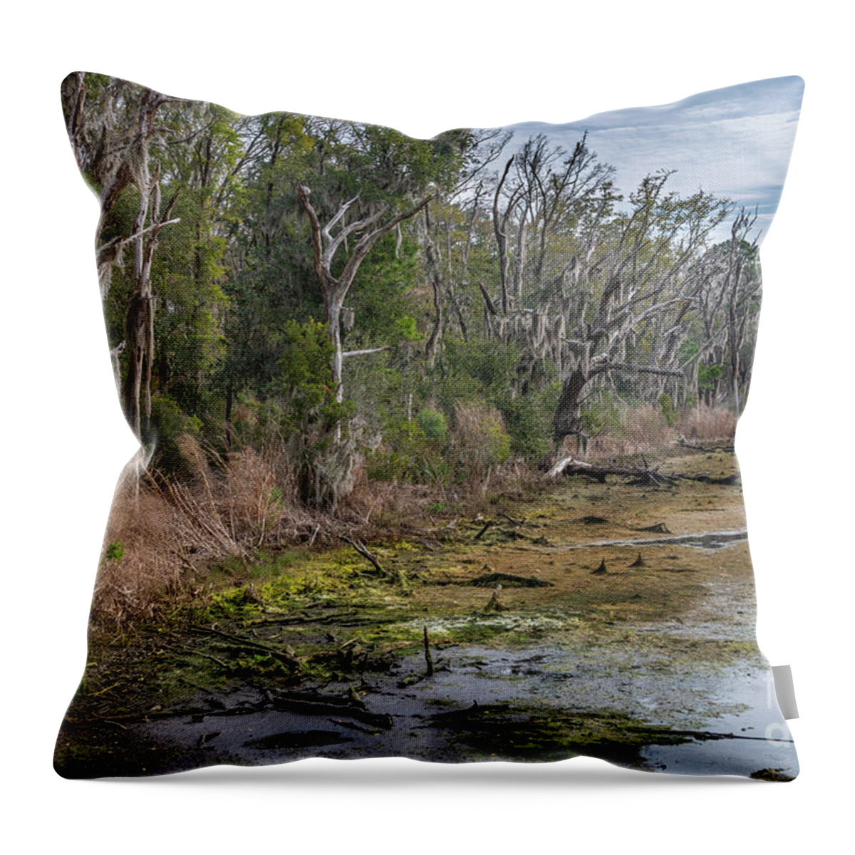 Marsh Throw Pillow featuring the photograph Salty Shore - Ace Basin by Dale Powell