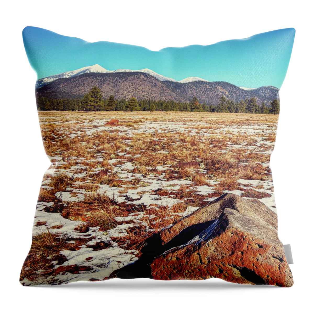 Flagstaff Throw Pillow featuring the photograph San Francisco Peaks Winter by Chance Kafka