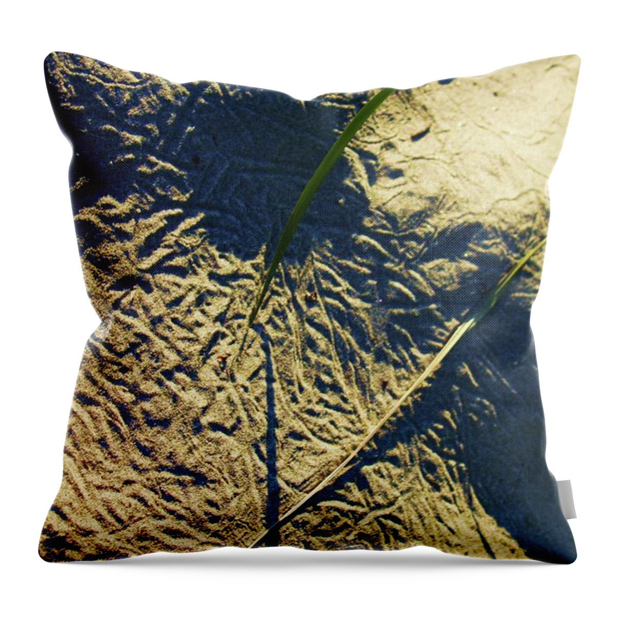 Sand Throw Pillow featuring the photograph Sand compass by Fred Bailey