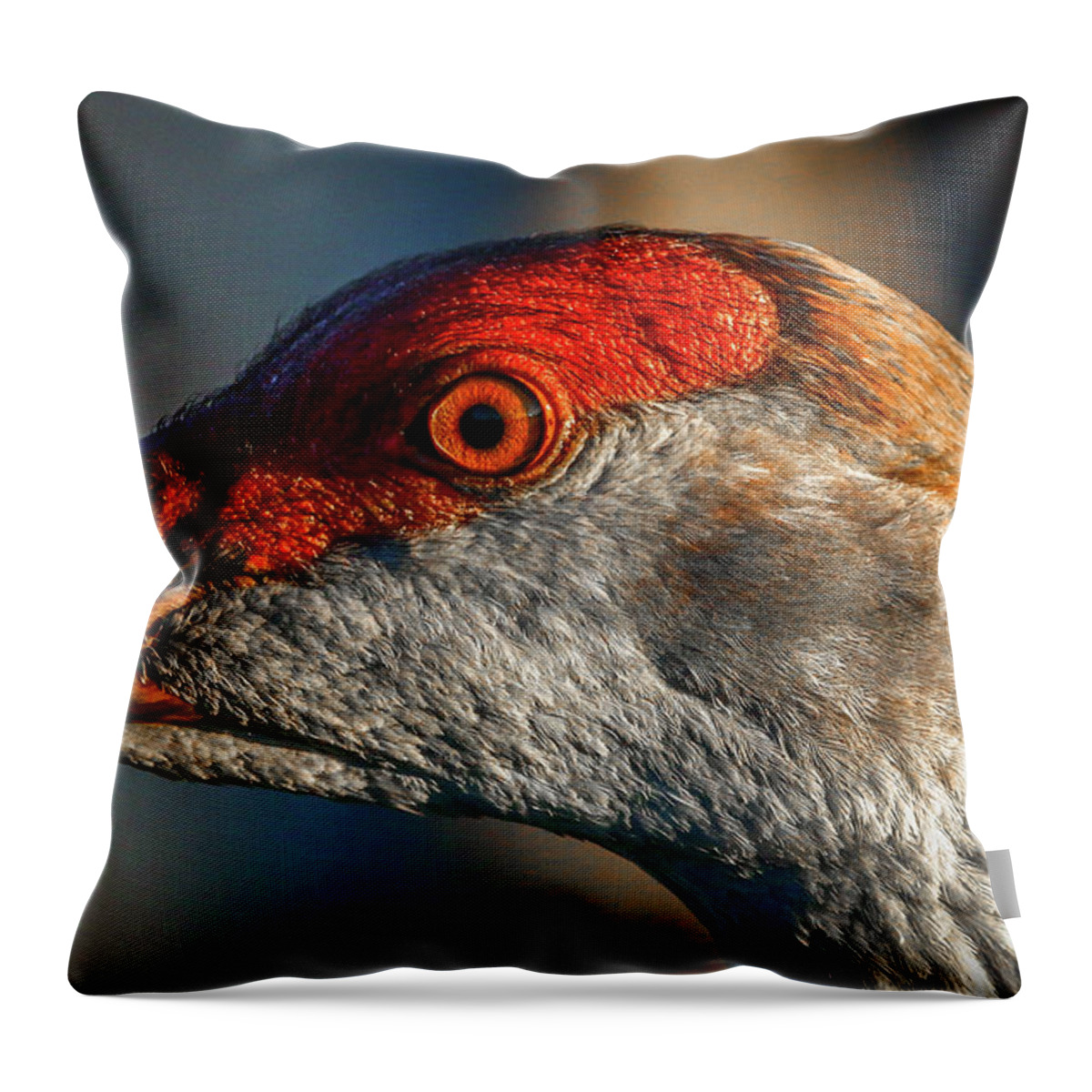 Sandhill Throw Pillow featuring the photograph Sandhill Close Up Portrait by Tom Claud