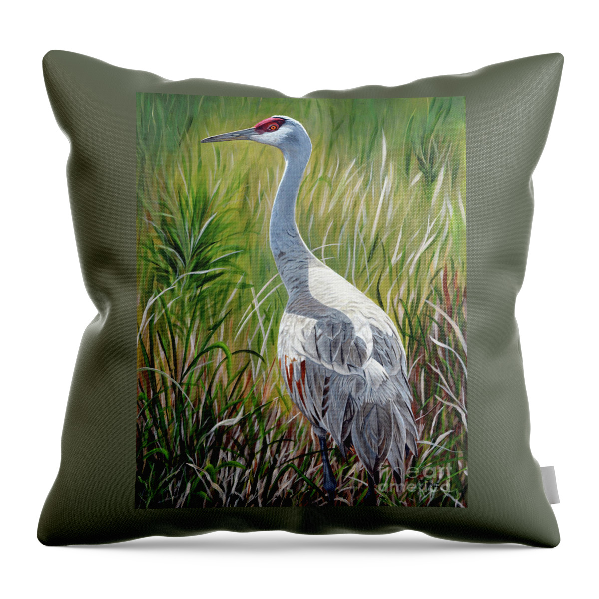 Sandhill Crane Throw Pillow featuring the painting Sandhill Crane by Jimmie Bartlett