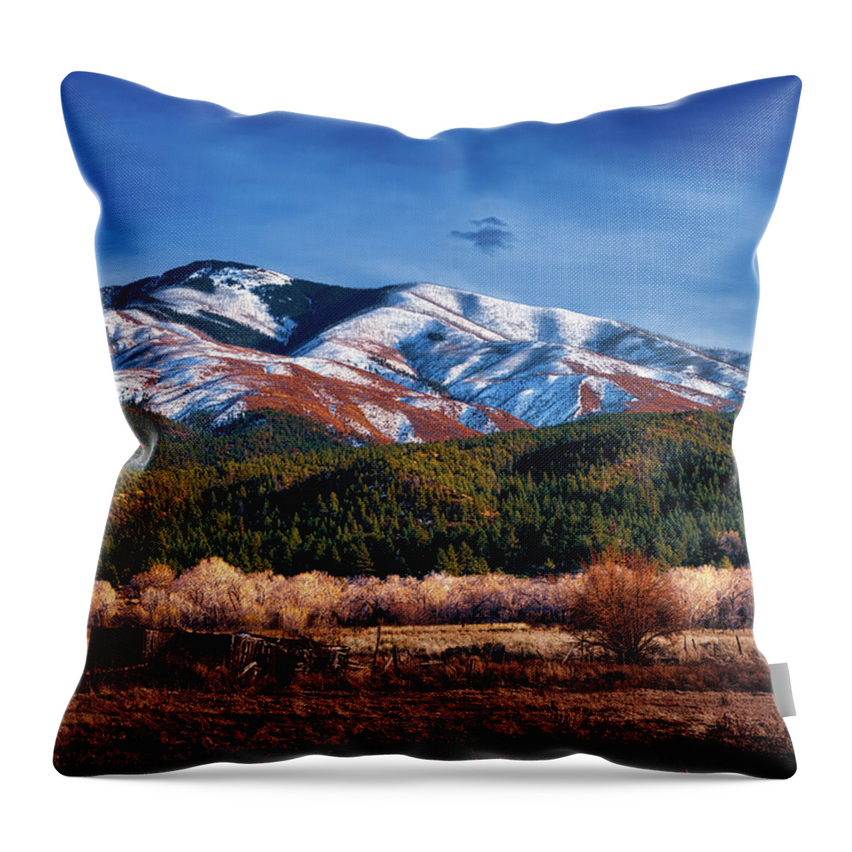 Copy Space Throw Pillow featuring the photograph Santa Fe Baldy Mountain by Robert FERD Frank