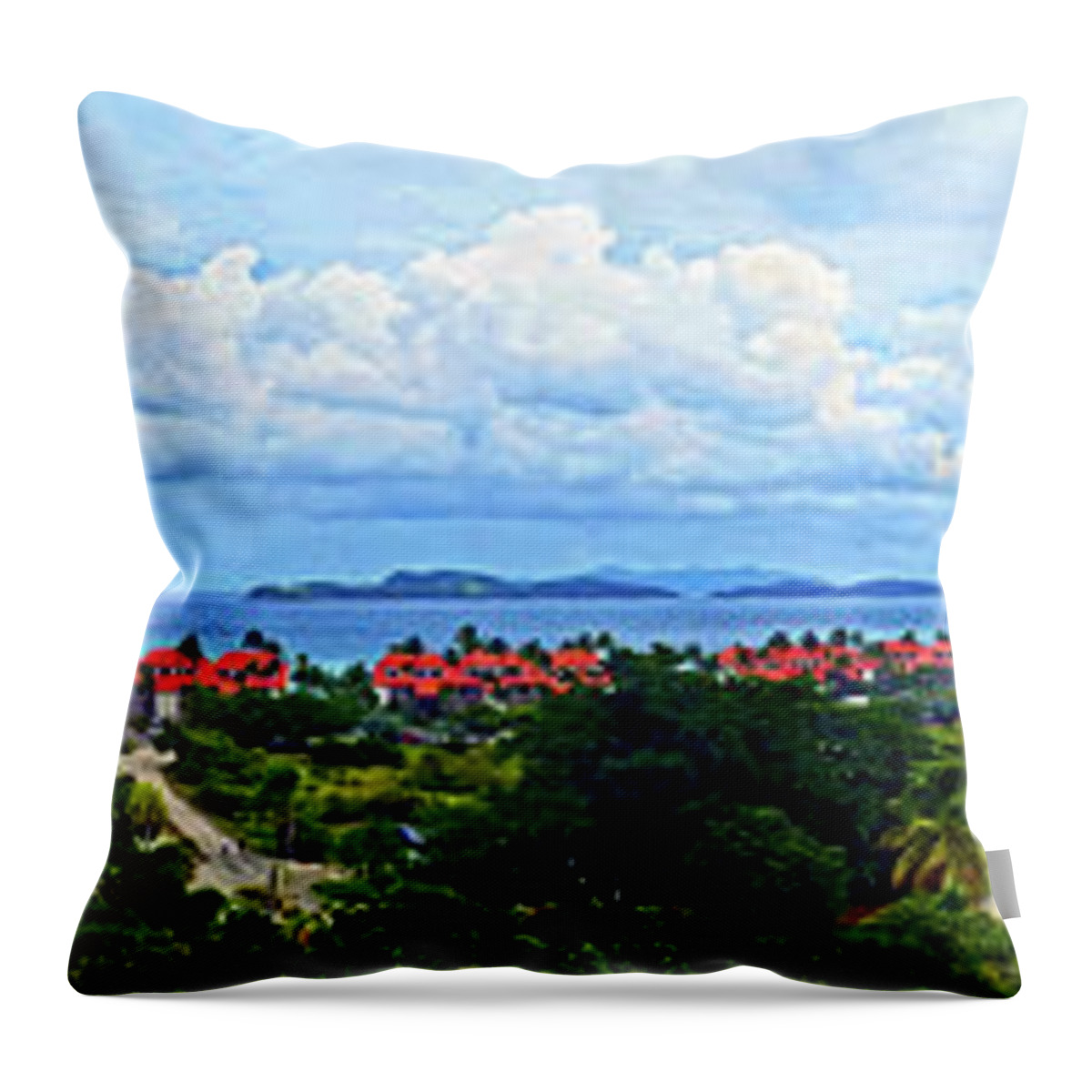 Tropical Throw Pillow featuring the photograph Sapphire Panorama by Climate Change VI - Sales