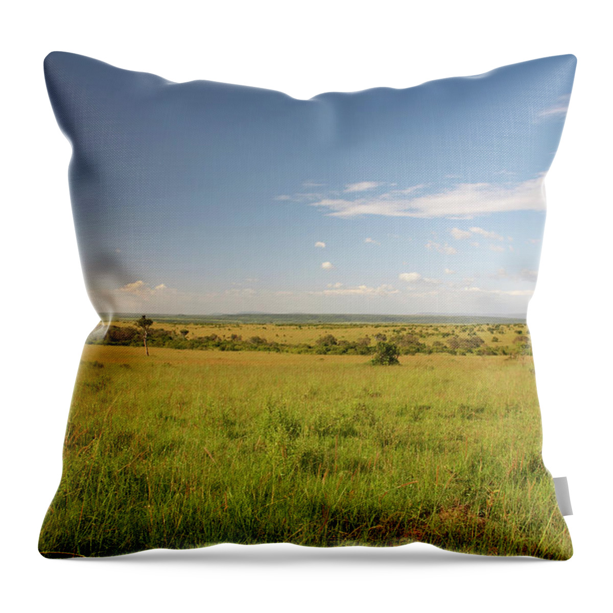 Grass Throw Pillow featuring the photograph Savannah by Aldra
