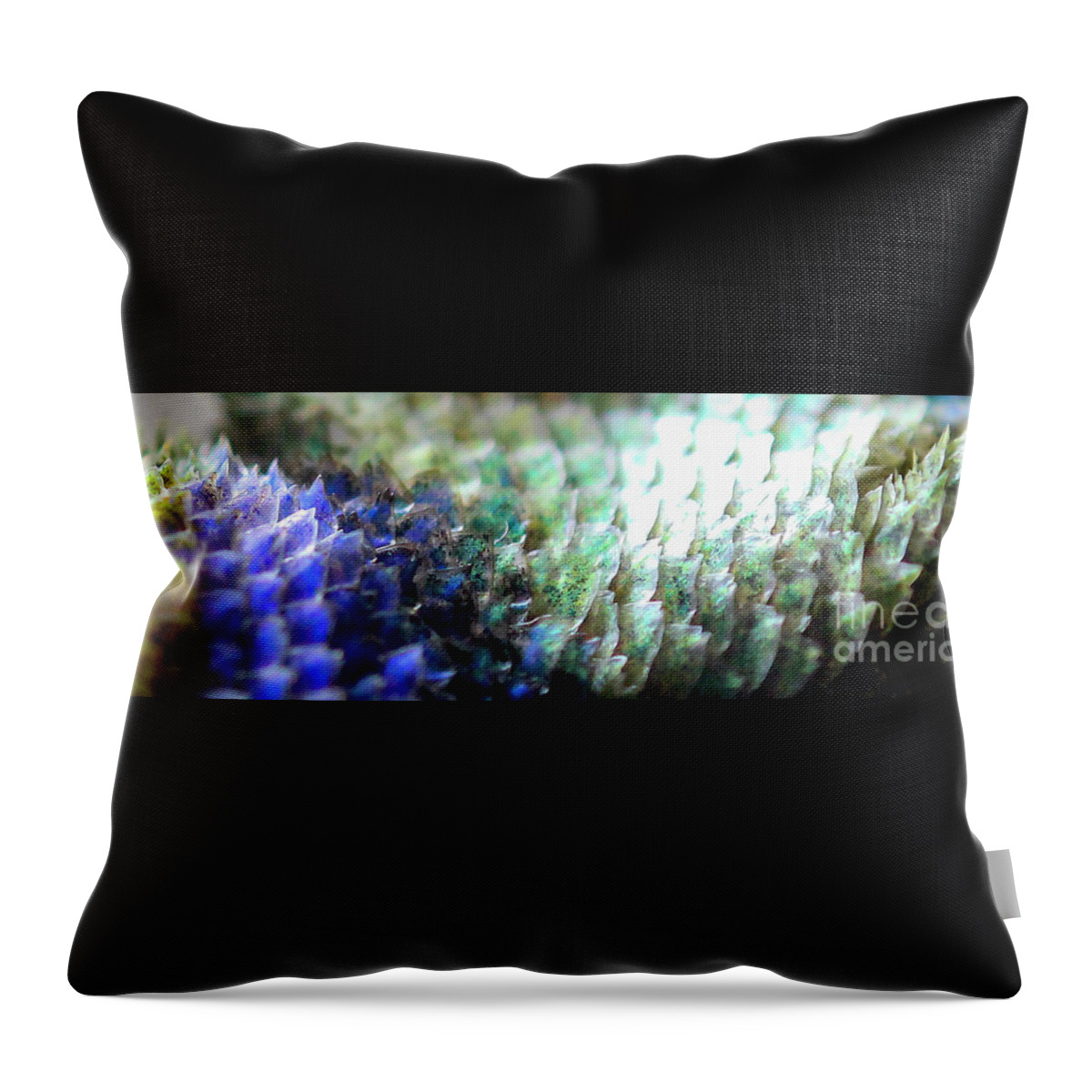 Scales Throw Pillow featuring the photograph Scale Carpet by Shawn Jeffries
