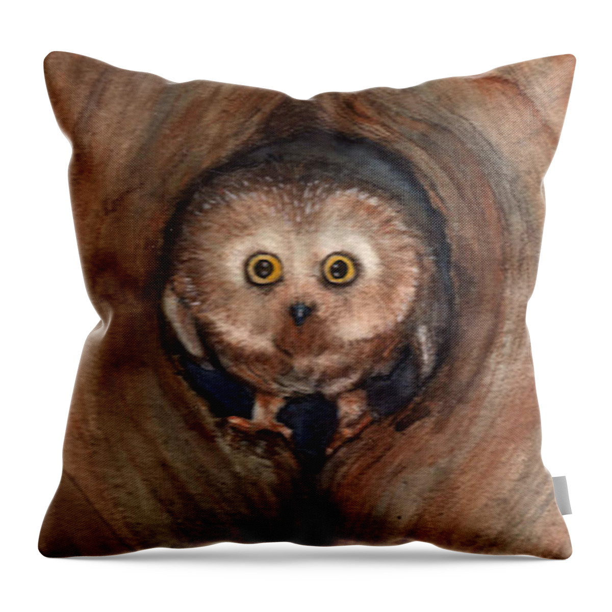 Owl Throw Pillow featuring the painting Scardy Owl by Amy Stielstra