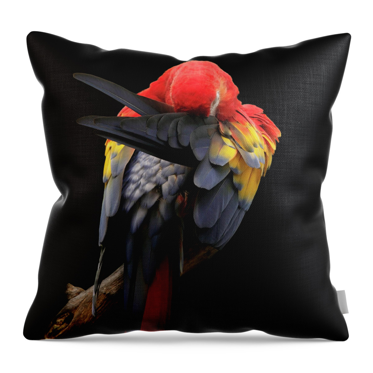 Animal Themes Throw Pillow featuring the photograph Scarlet Macaw by Paul Taylor