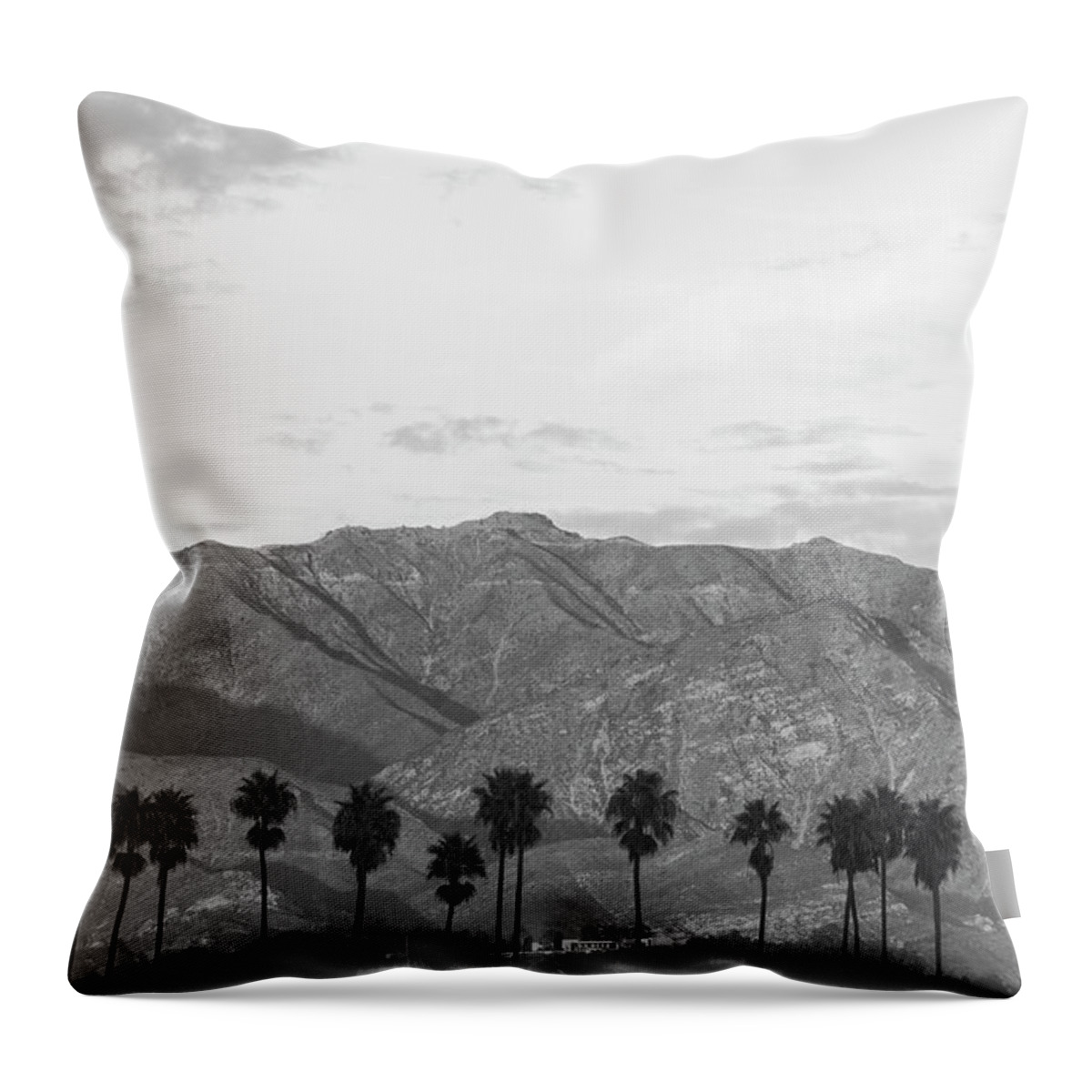 Photography Throw Pillow featuring the photograph Scenic Mountainous Landscape With Palm by Panoramic Images
