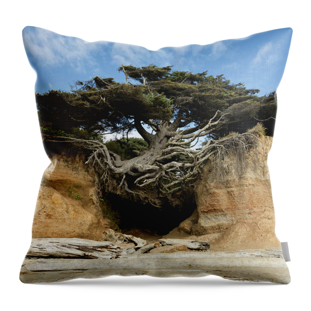 Photography Throw Pillow featuring the photograph Scenic View Of Tree Of Life, Kalaloch by Panoramic Images