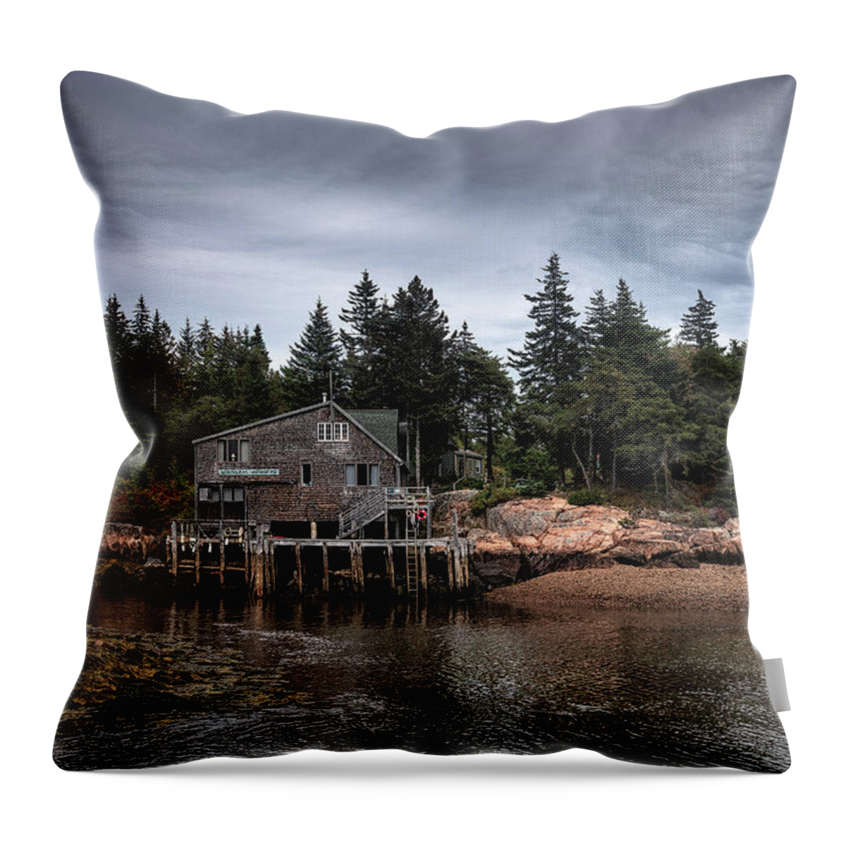 Maine Throw Pillow featuring the photograph Schoodic Life by Robert Fawcett