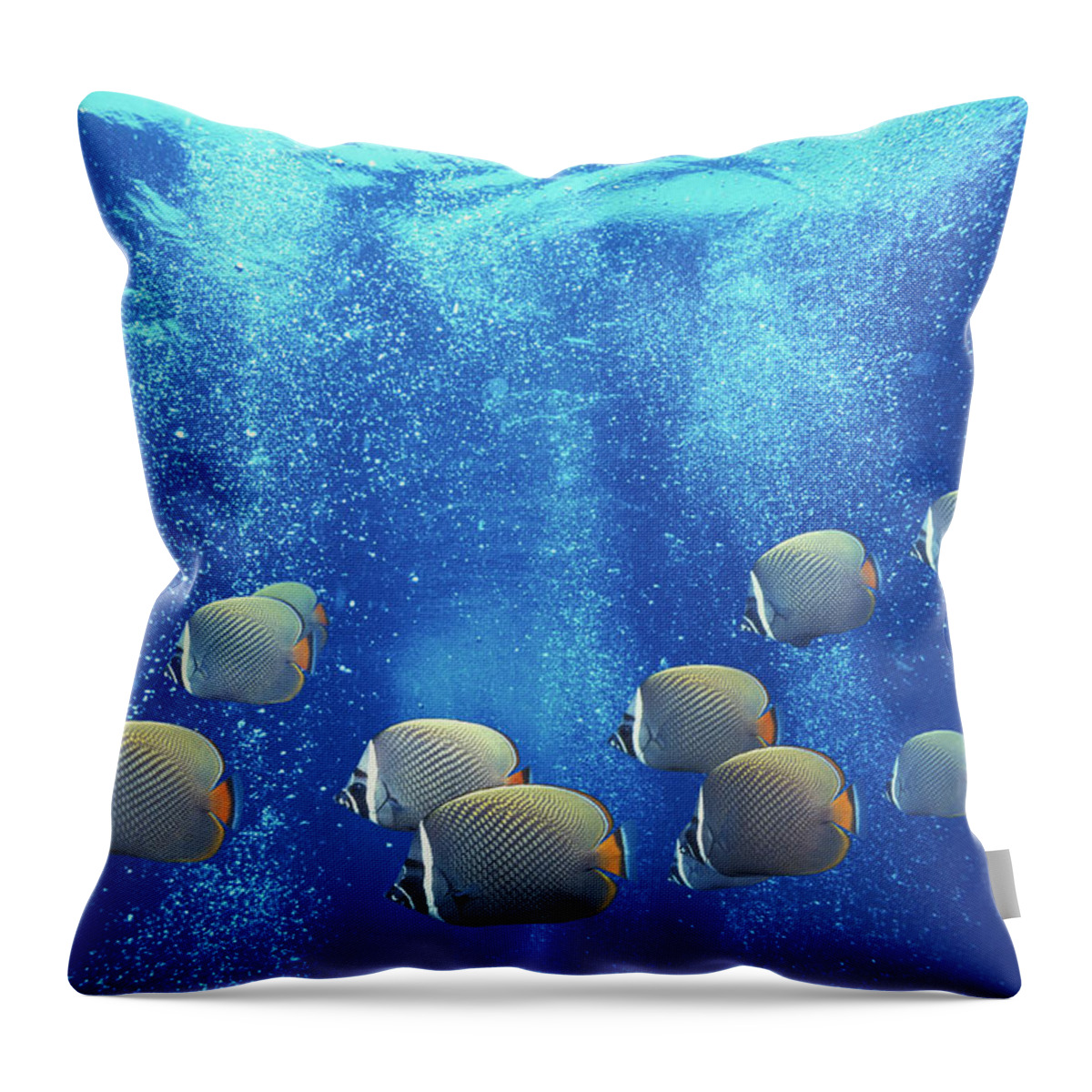 Underwater Throw Pillow featuring the photograph School Of Redtail Butterflyfish by Georgette Douwma