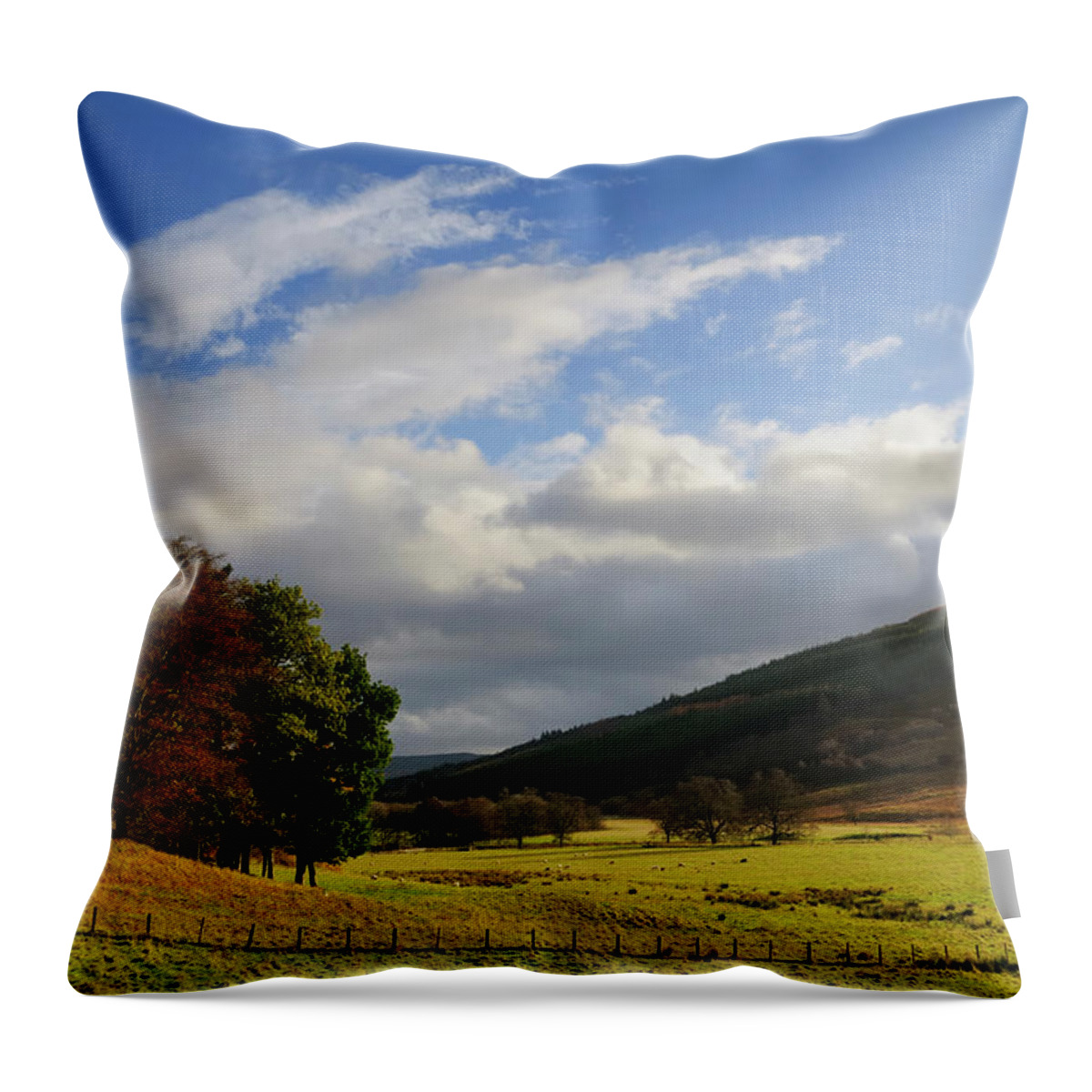 Grass Throw Pillow featuring the photograph Scottish Landscape by Sjo