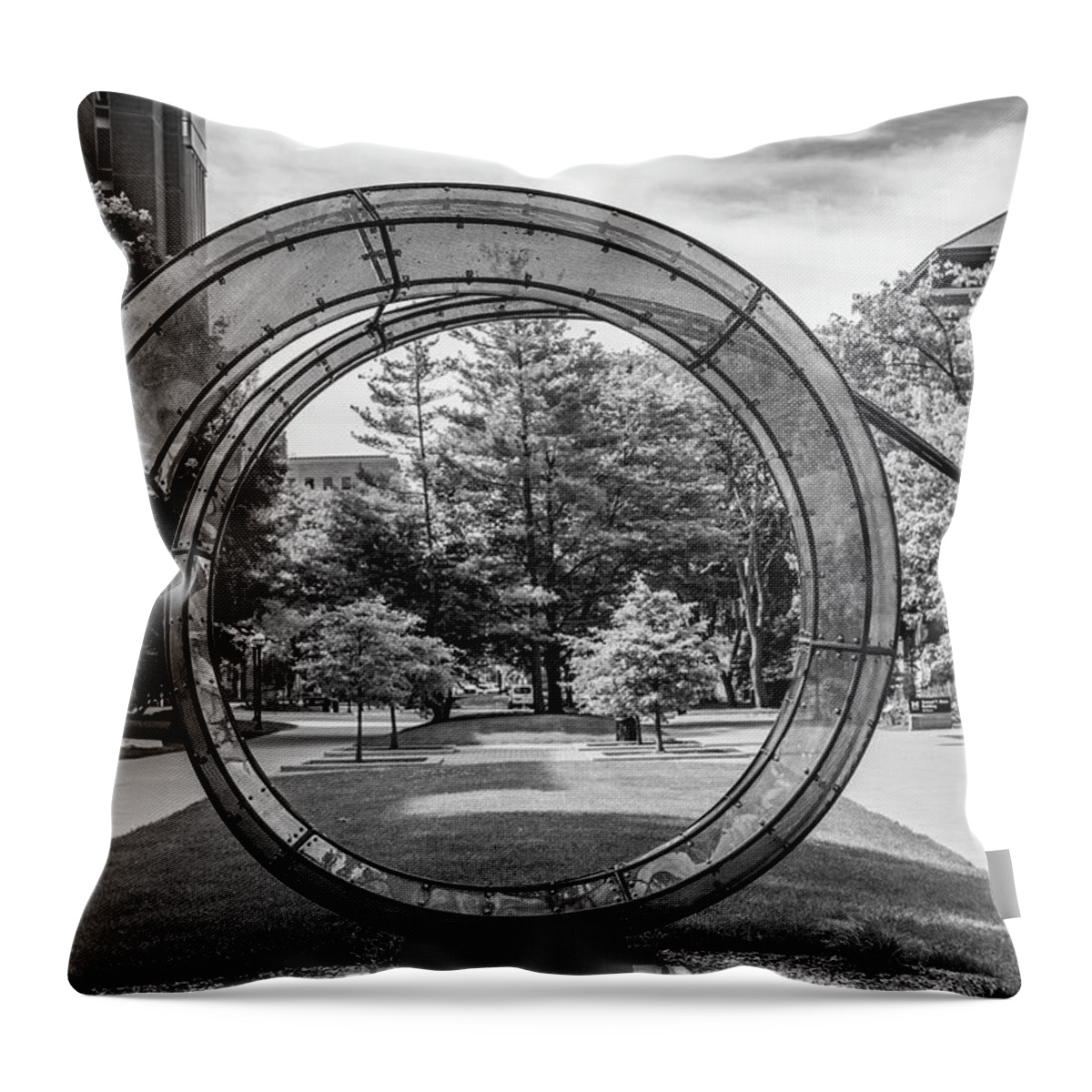 . Big Ten Campus Throw Pillow featuring the photograph Sculture at University of Michigan by John McGraw
