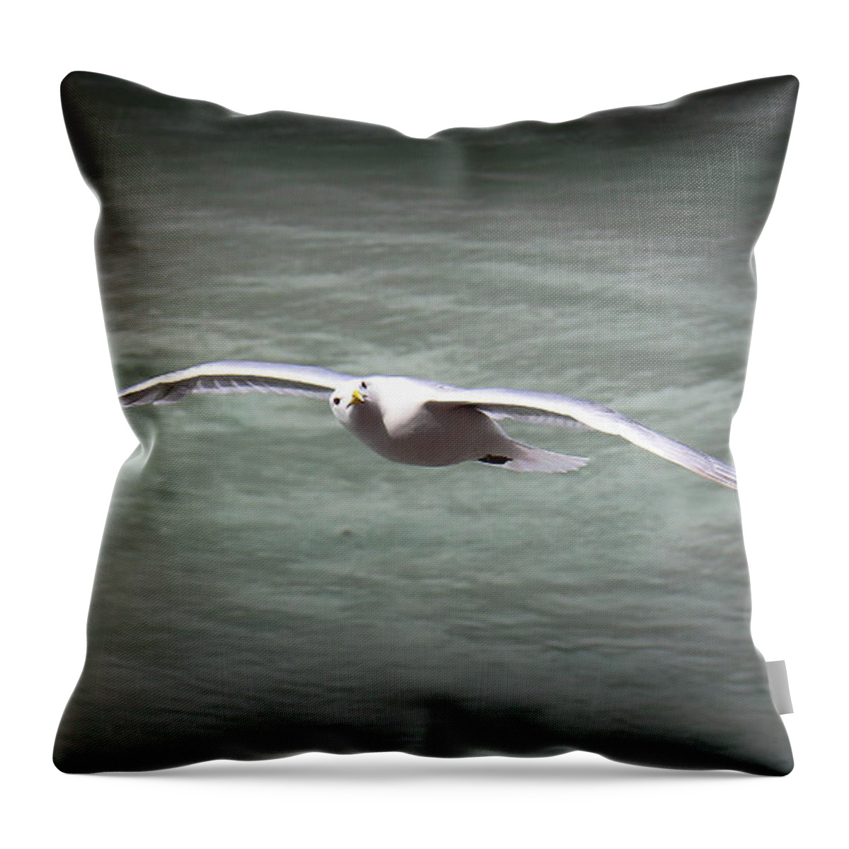 Seabird Throw Pillow featuring the photograph Seabird Over Alaska by Veronica Batterson