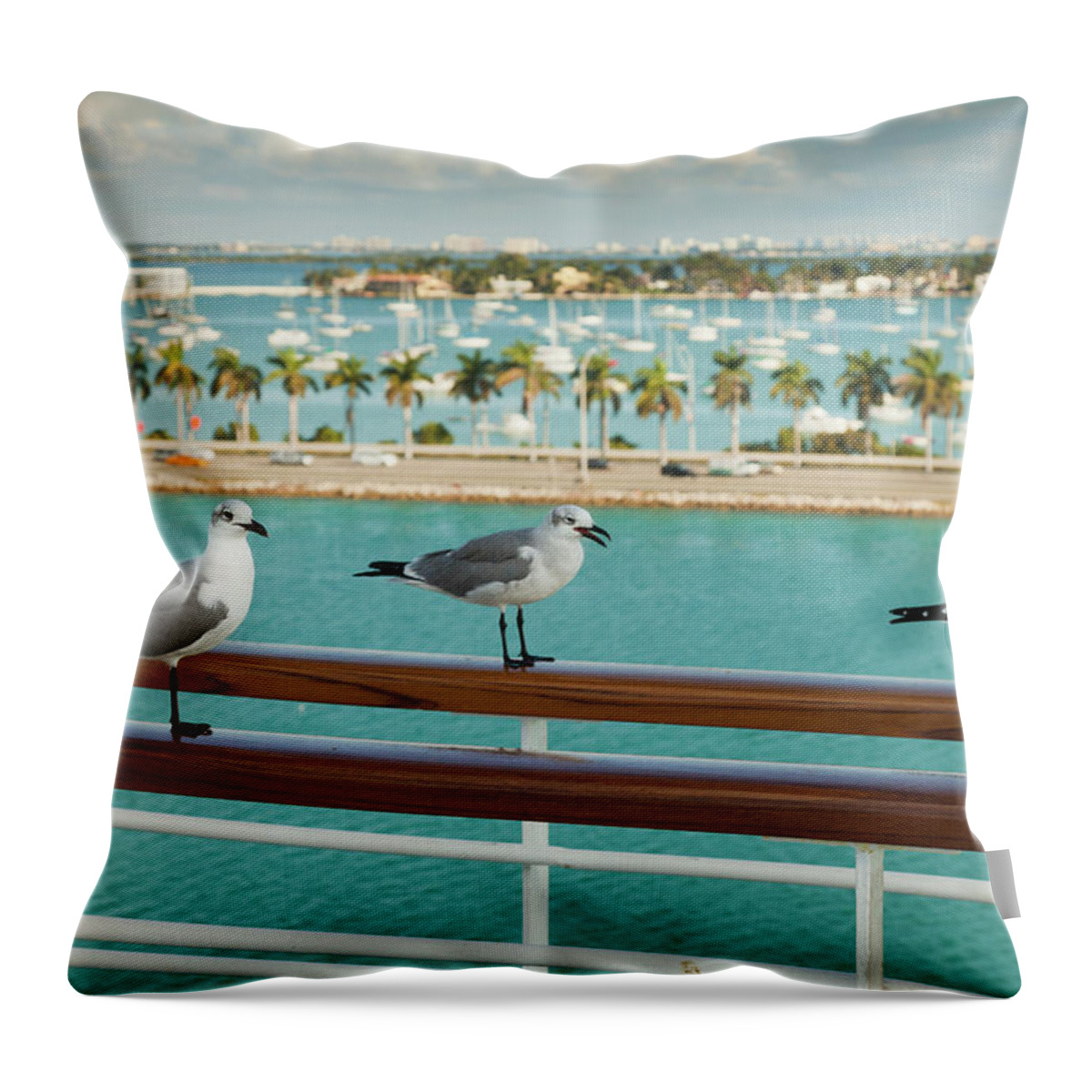 In A Row Throw Pillow featuring the photograph Sea Gulls On Railing Of Cruise Ship by Juan Silva