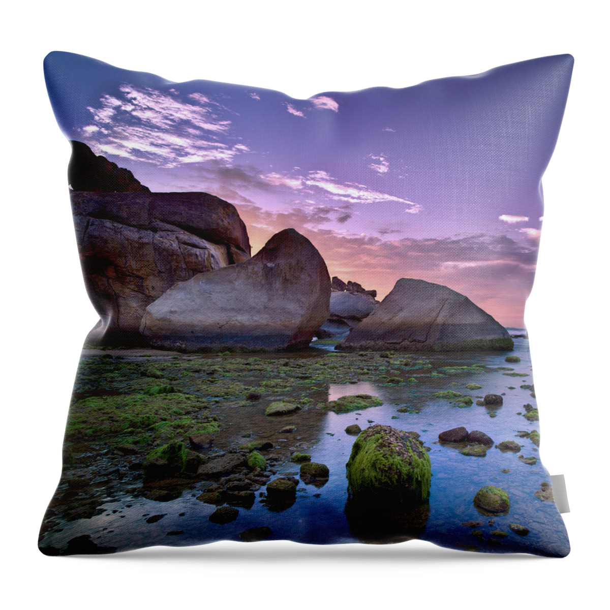 Scenics Throw Pillow featuring the photograph Sea Moss On Coral Rocks At Sunrise by Andreluu