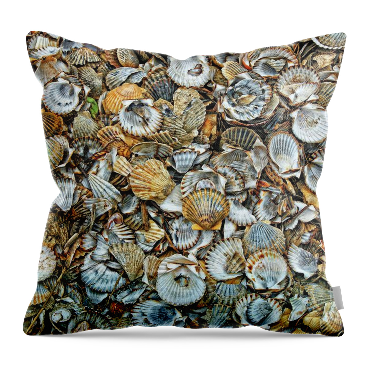 Sea Throw Pillow featuring the photograph Sea Shells by David Birchall