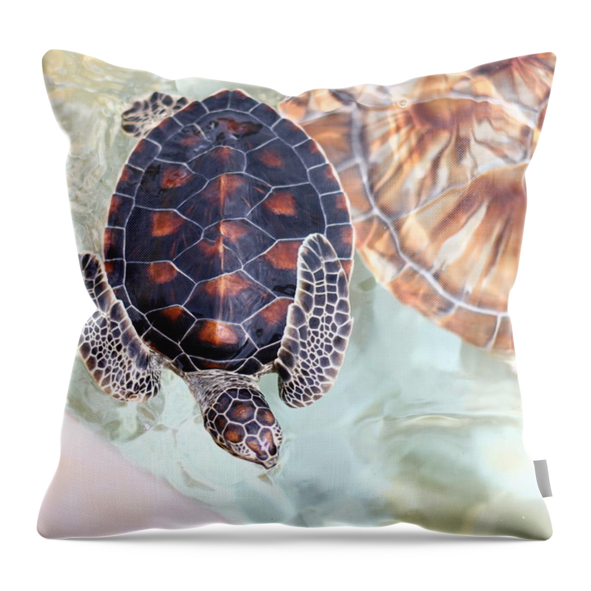 Underwater Throw Pillow featuring the photograph Sea Turtle by Alyssa B. Young